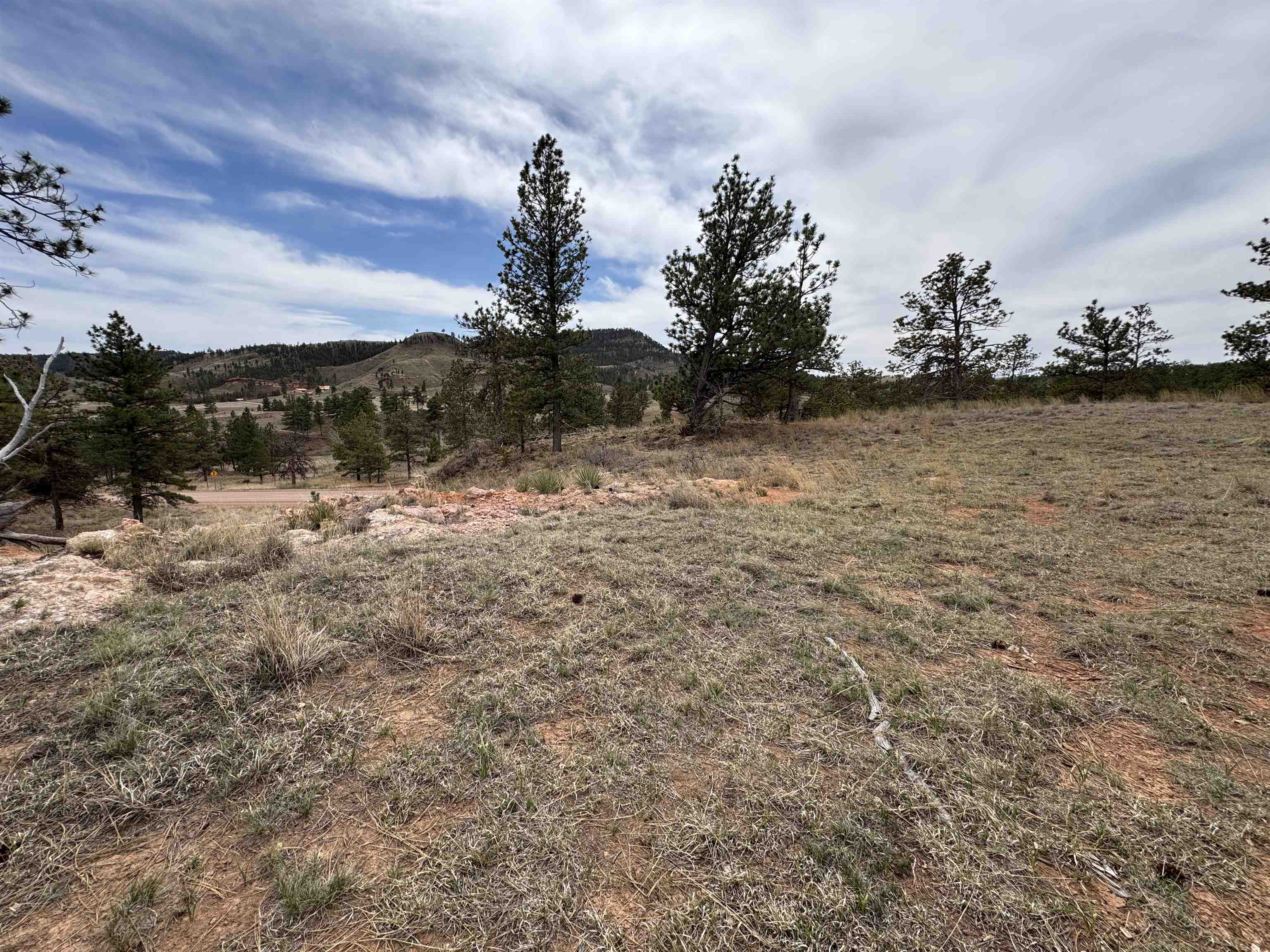 12707 Stardust Pass Property Photo 13