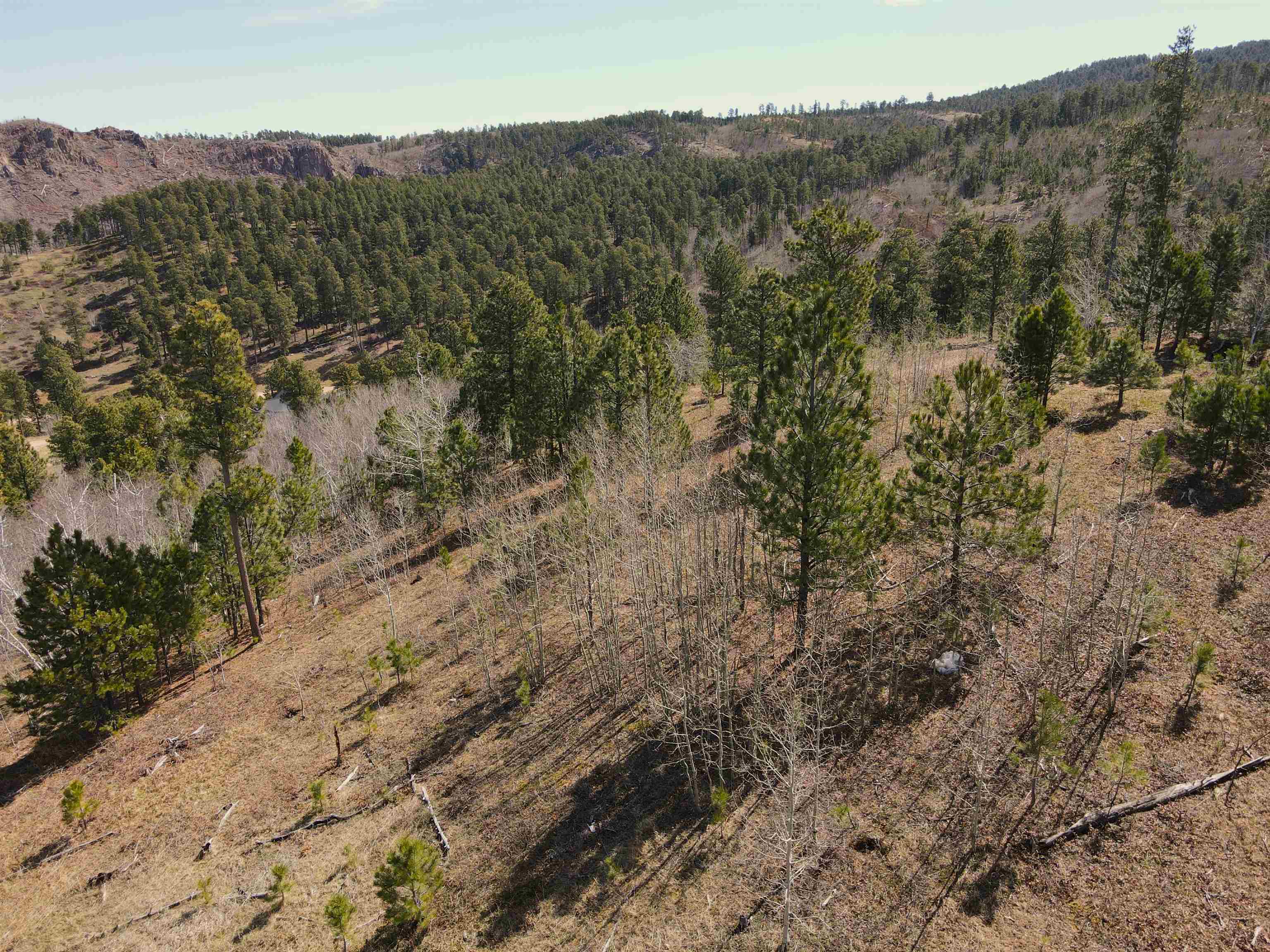 Tbd Noble Grand Court Property Photo 6
