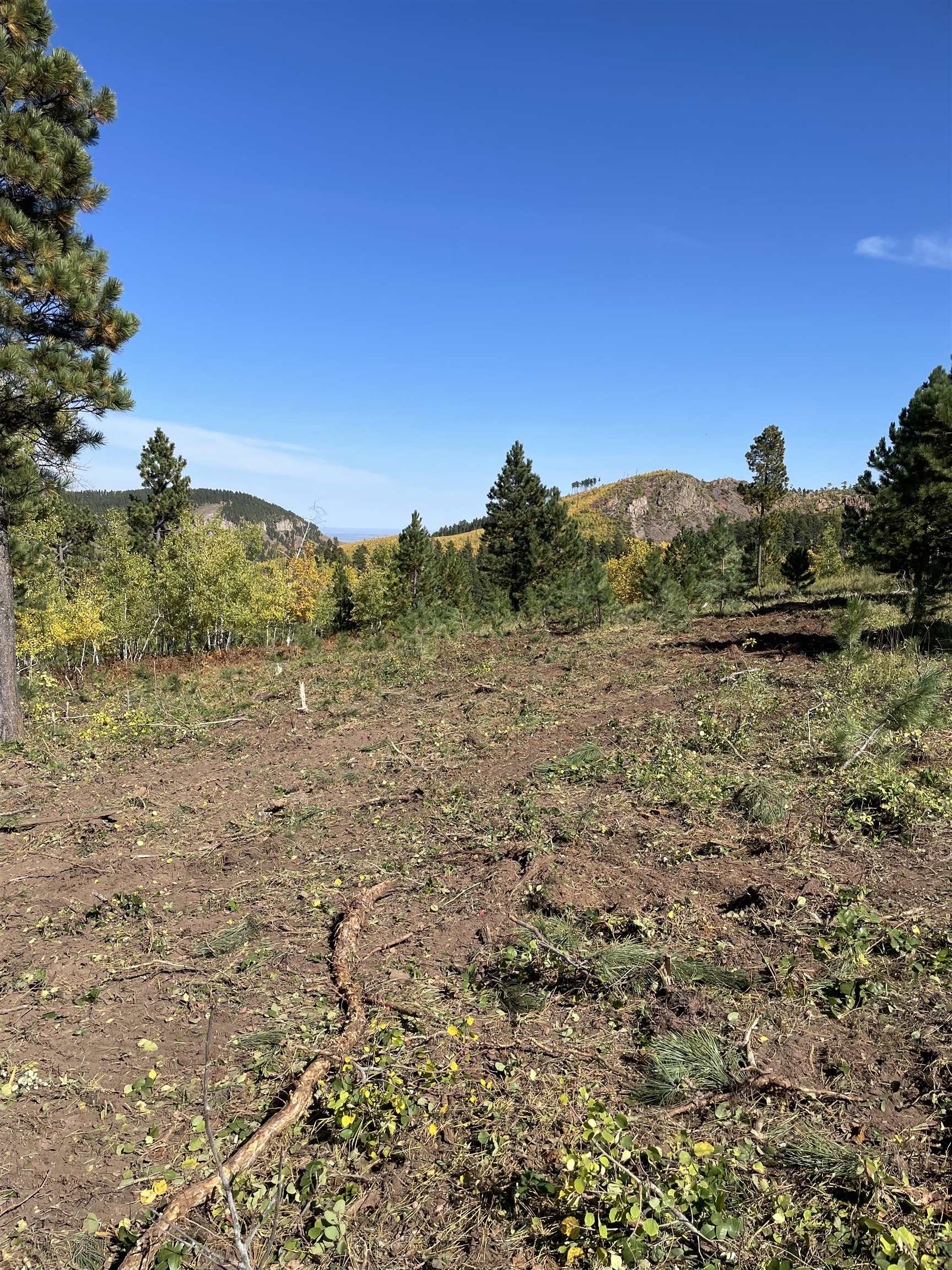Tbd Noble Grand Court Property Photo 17