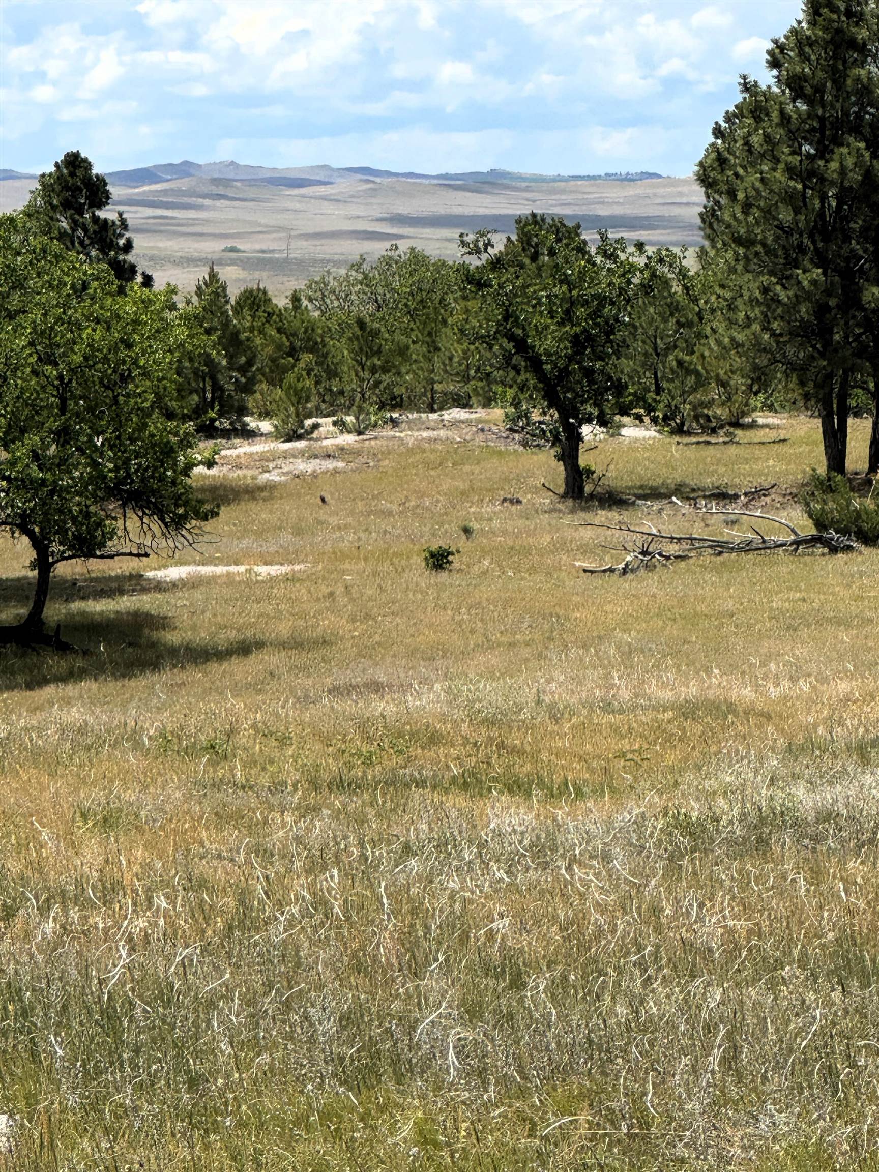 Tract 1 Property Photo 1