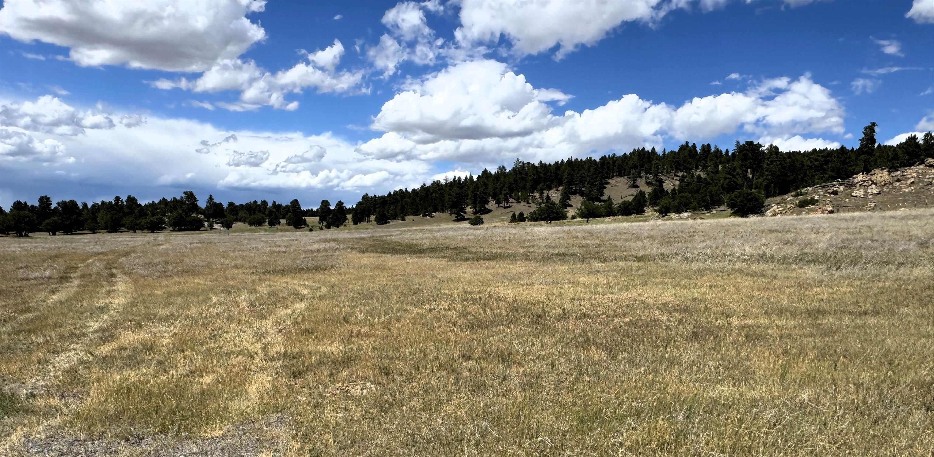Tract 1 Property Photo 2