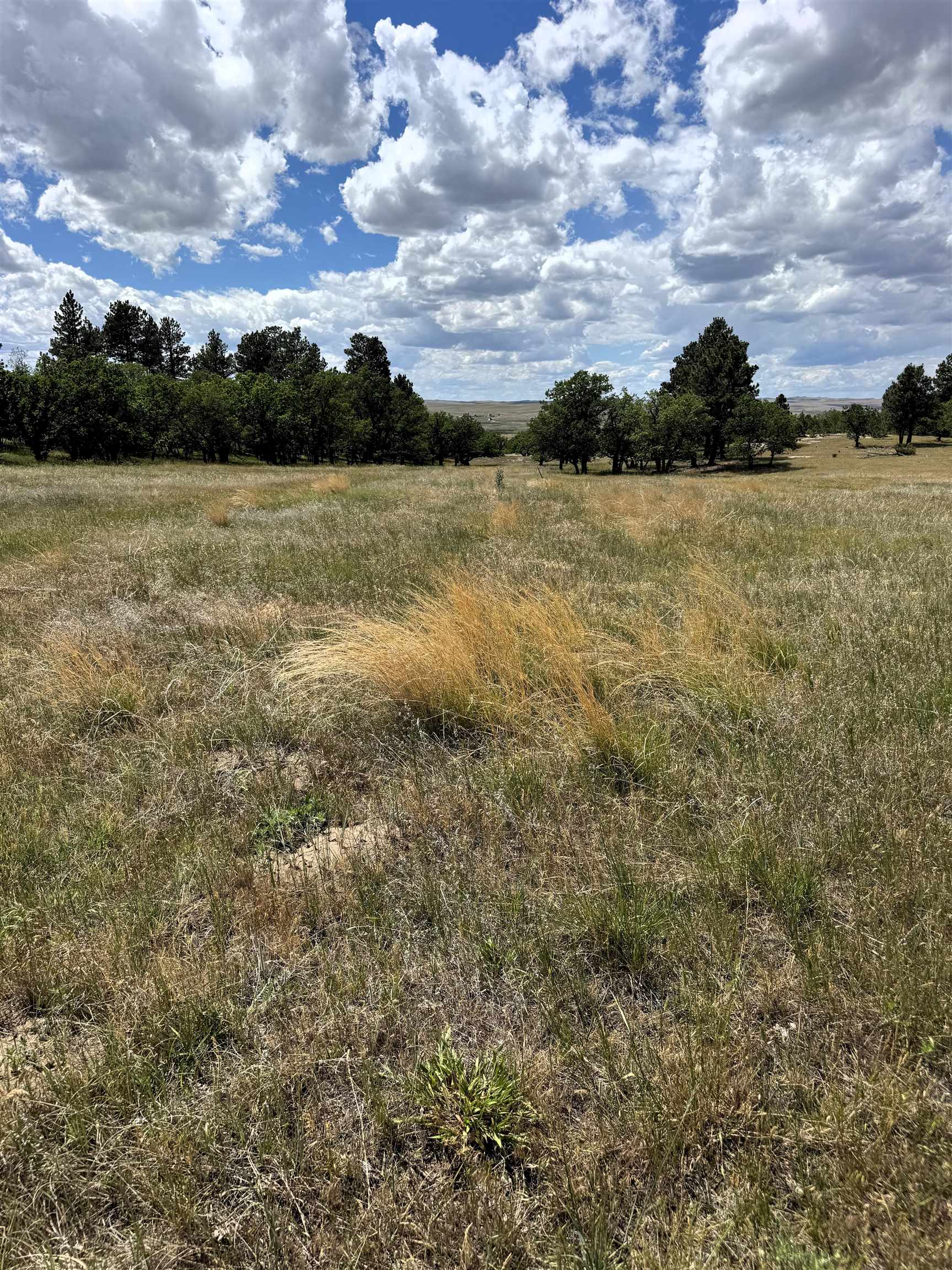 Tract 1 Property Photo 3