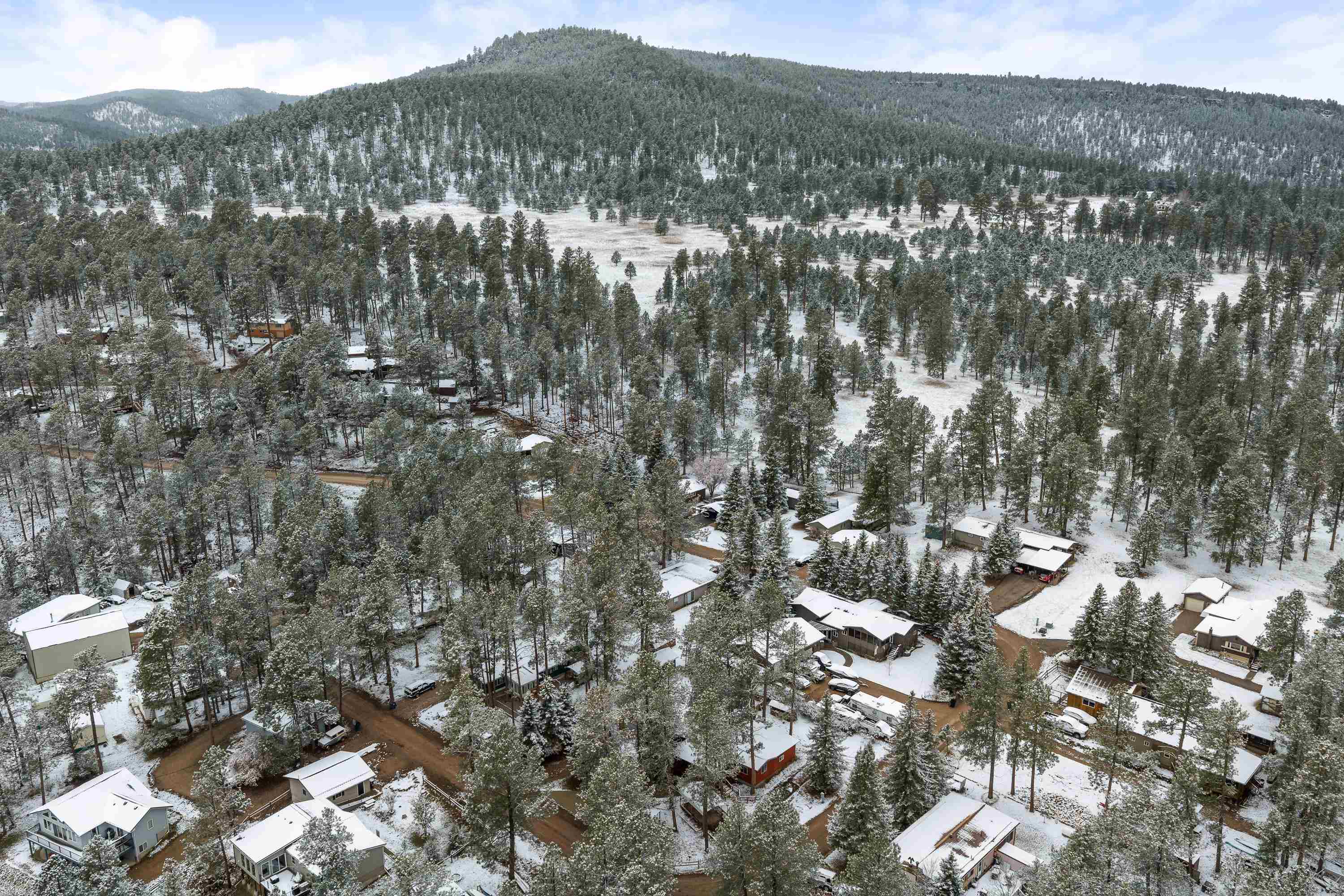 13073 Pine Cliff Circle Property Photo 28