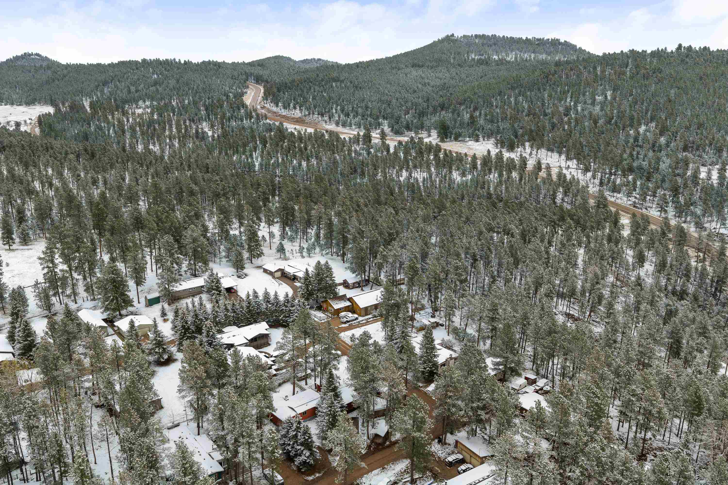 13073 Pine Cliff Circle Property Photo 29