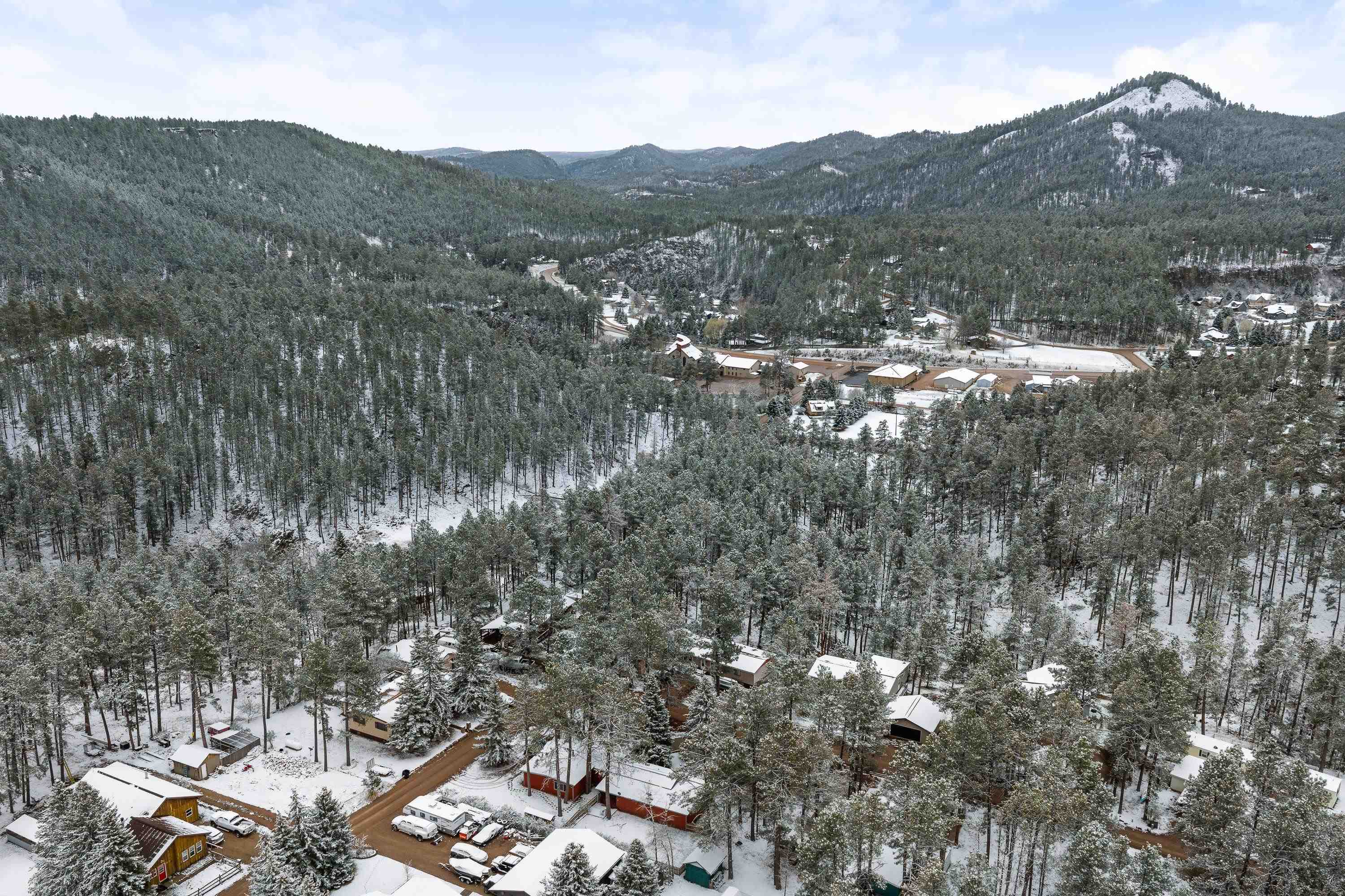 13073 Pine Cliff Circle Property Photo 31