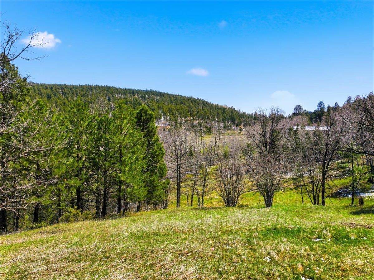 Lot 26a Elk View Loop Property Photo 4