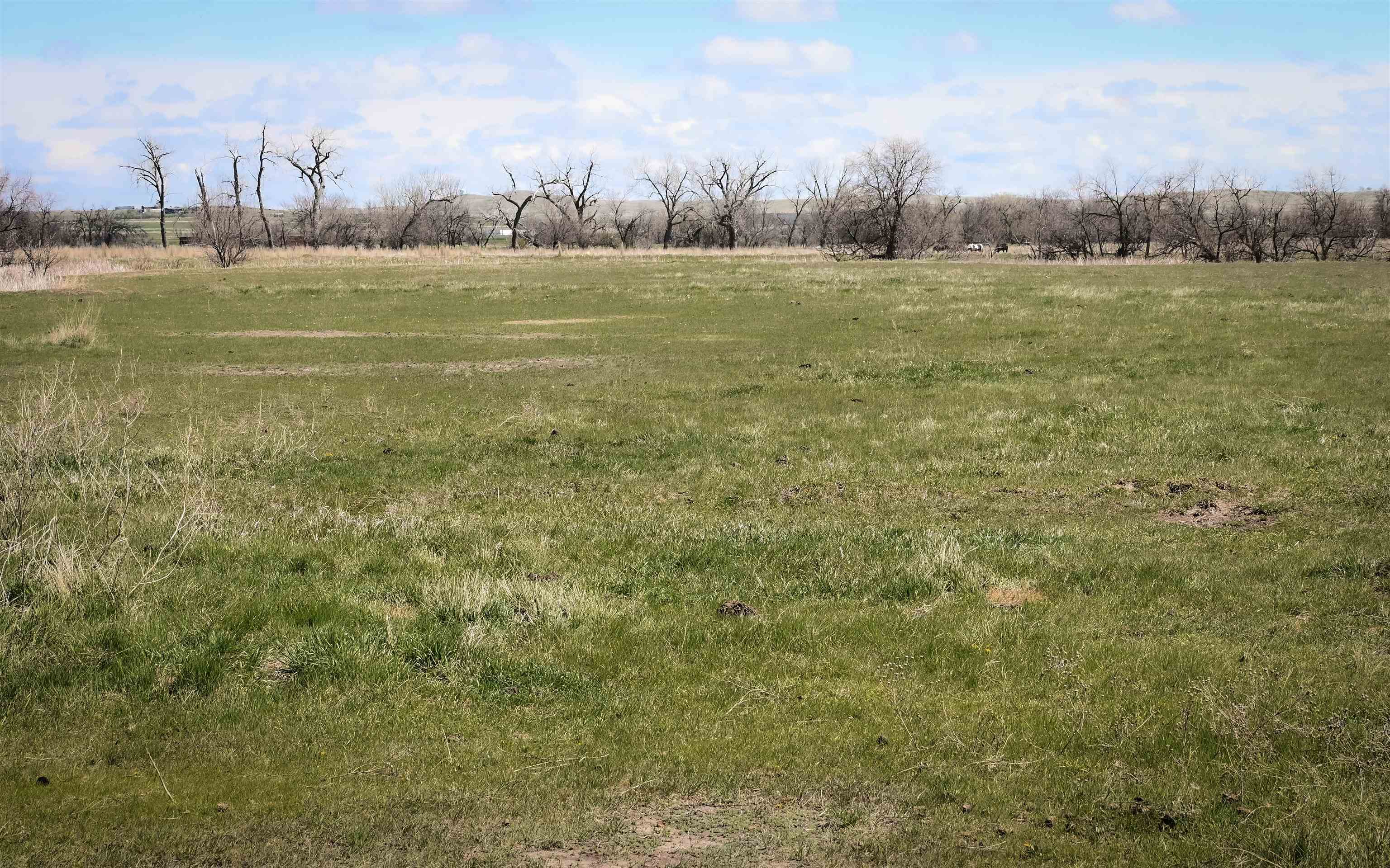 12981 193rd Street Property Photo 31