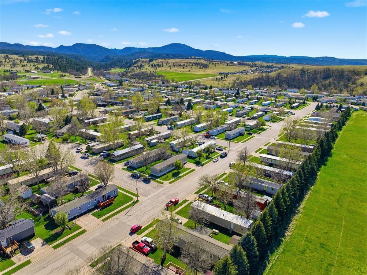 142 Spearfish Mountain Court Property Photo 22