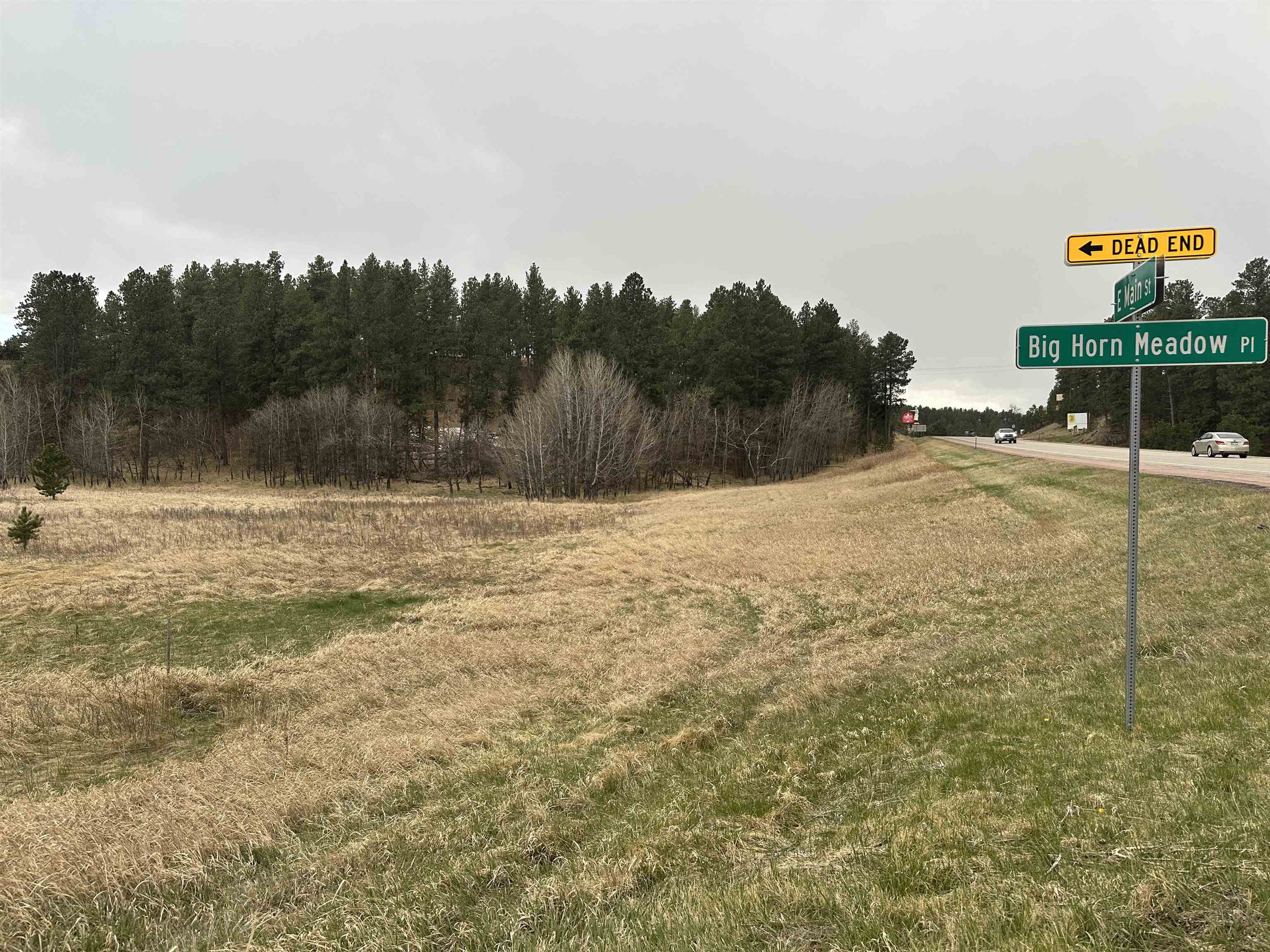 23970 Hwy 385 Property Photo 1