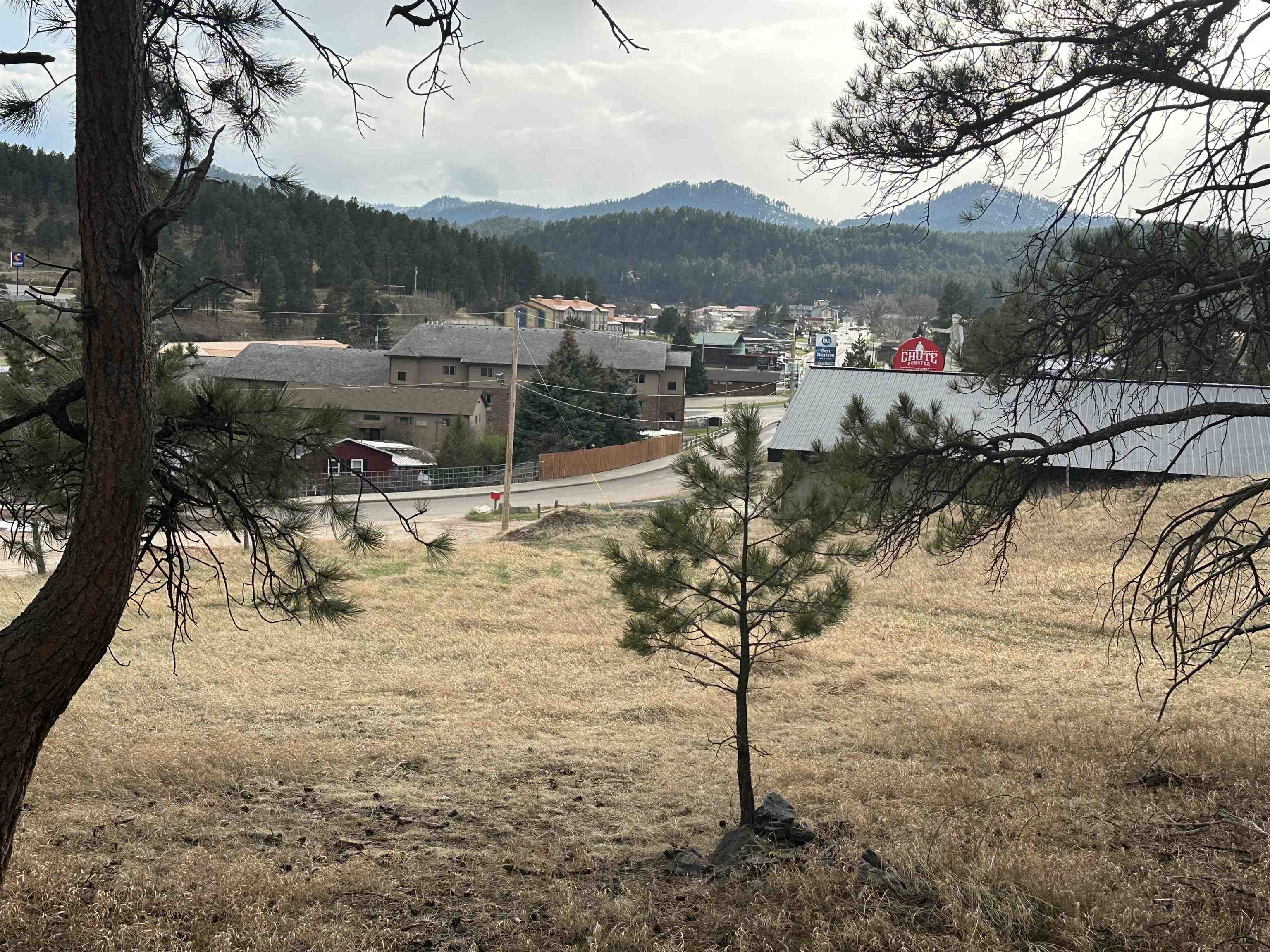 23970 Hwy 385 Property Photo 2
