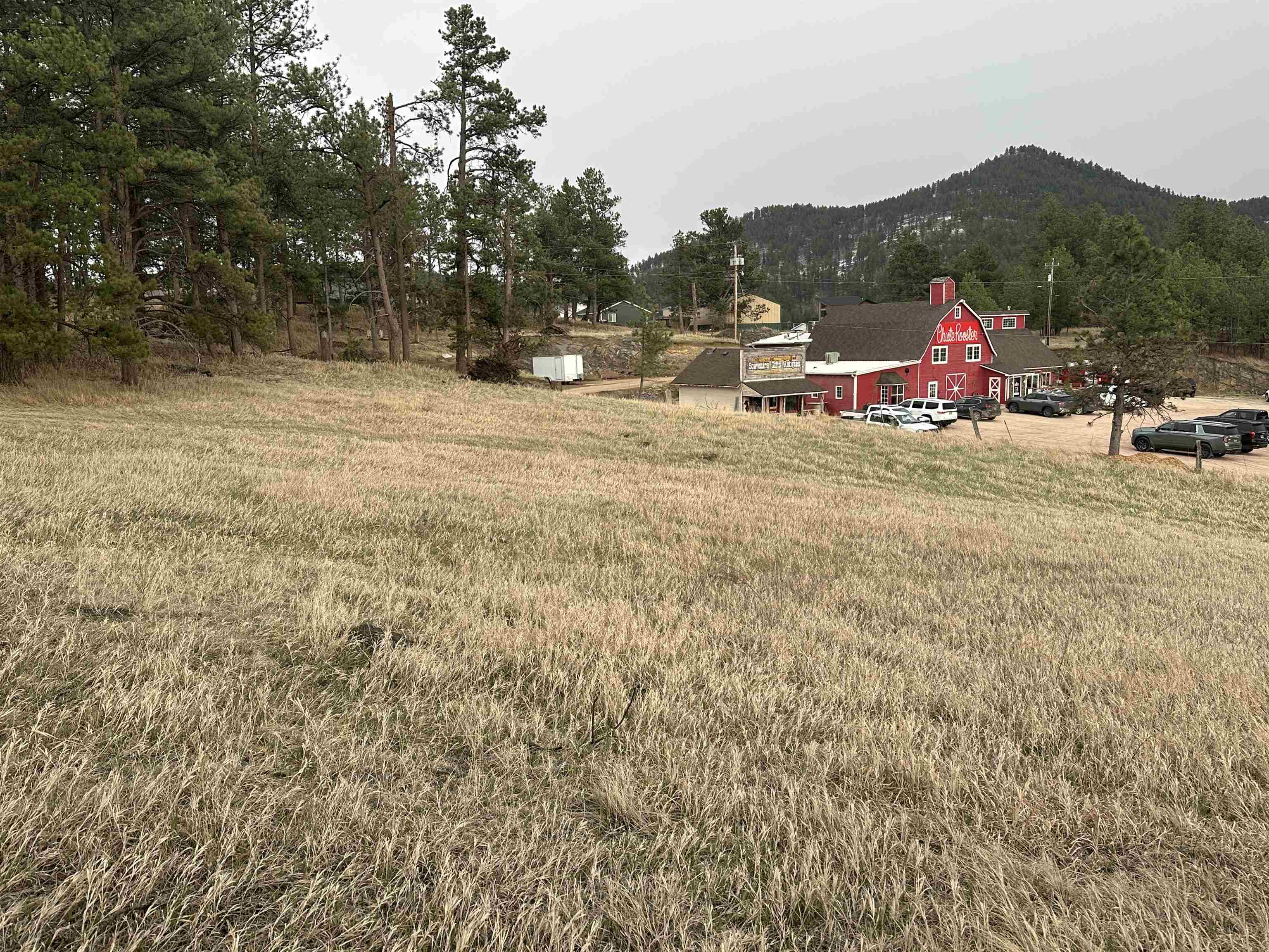 23970 Hwy 385 Property Photo 4
