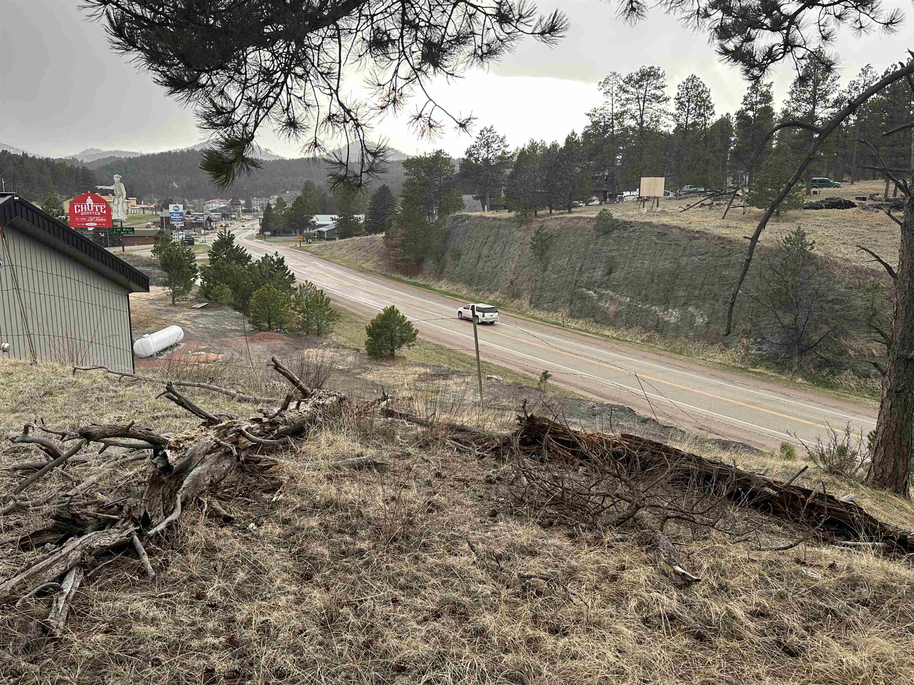 23970 Hwy 385 Property Photo 6