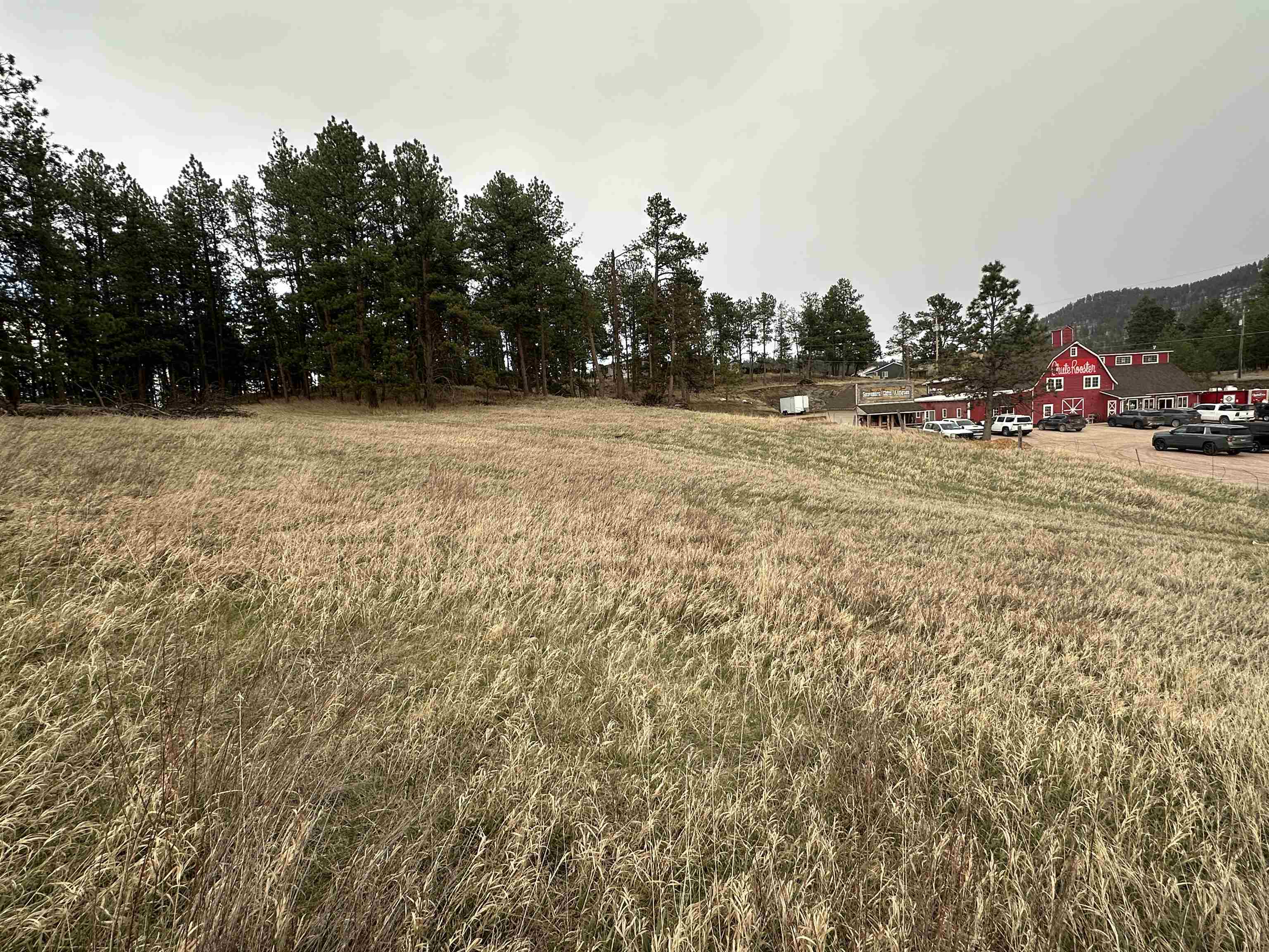 23970 Hwy 385 Property Photo 7