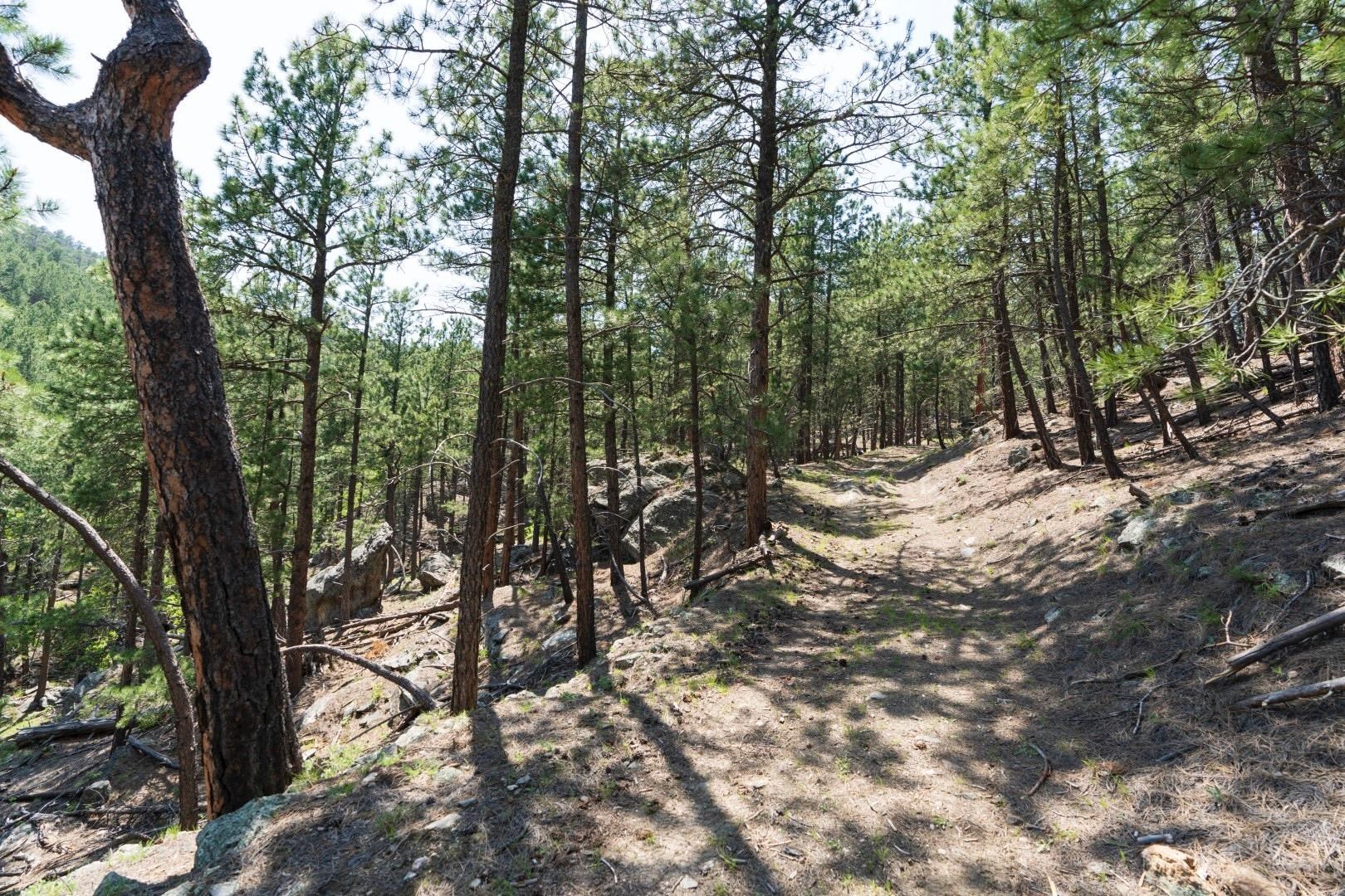 1201a Old Hill City Road Property Photo 17