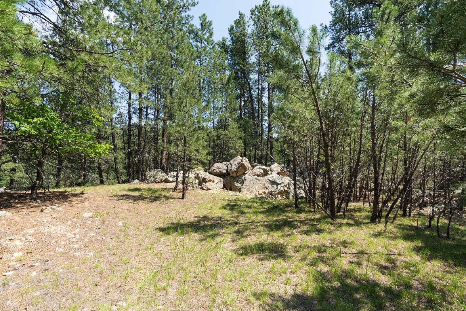 1201a Old Hill City Road Property Photo 18