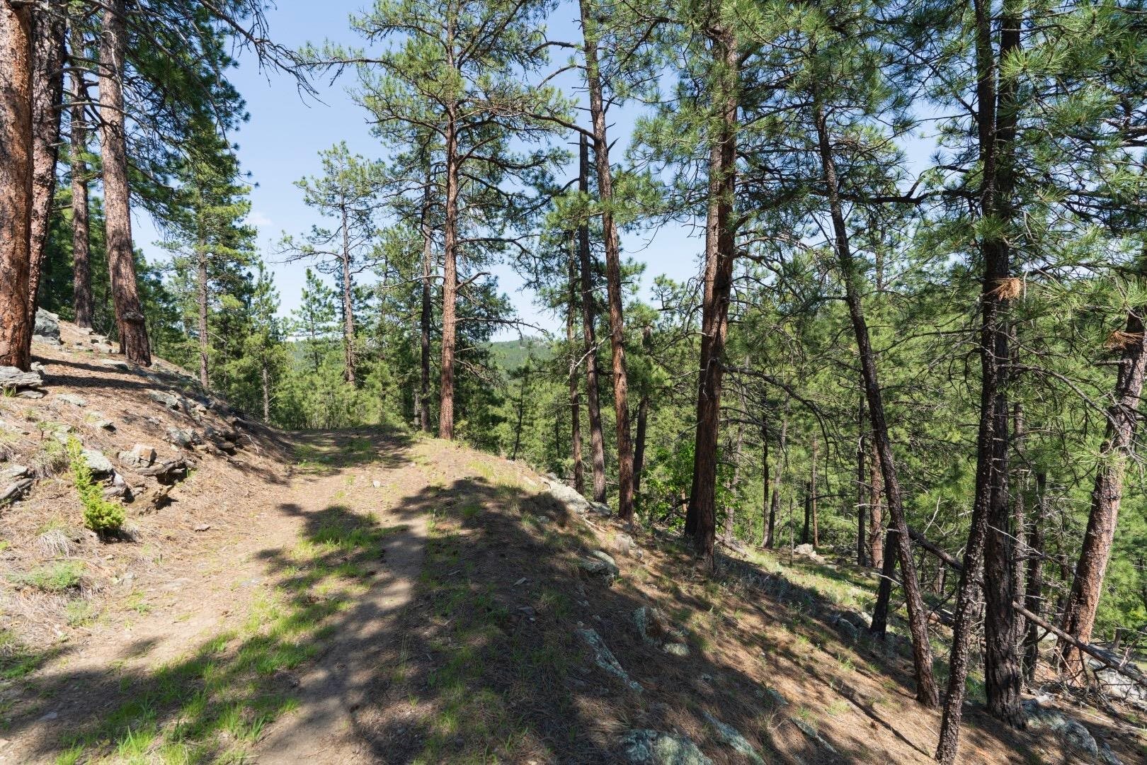 1201a Old Hill City Road Property Photo 19