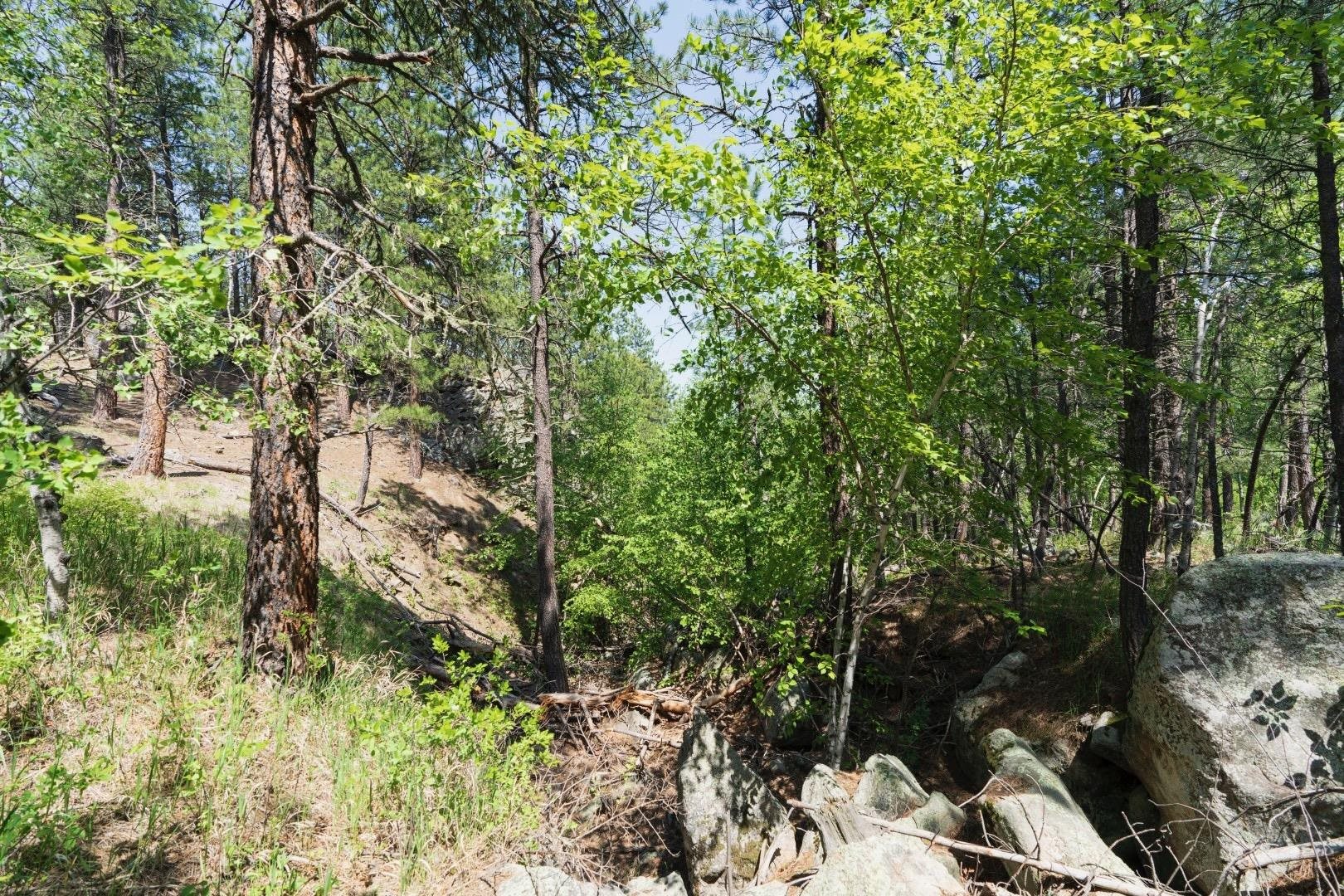 1201a Old Hill City Road Property Photo 23
