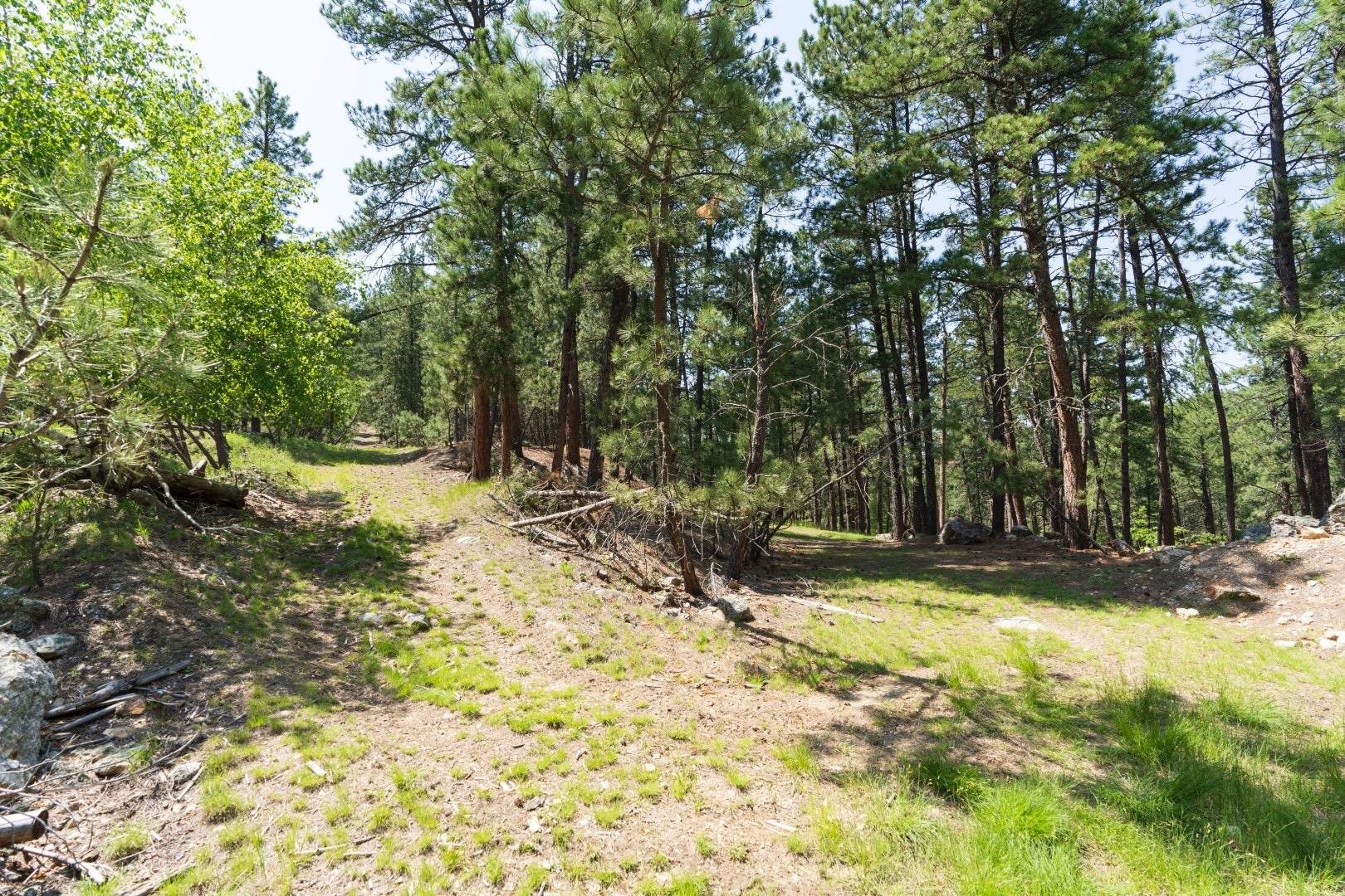 1201a Old Hill City Road Property Photo 20