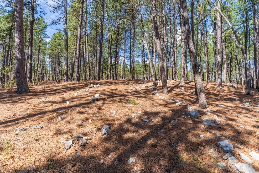 13600 Aeronauts Way Property Photo 46