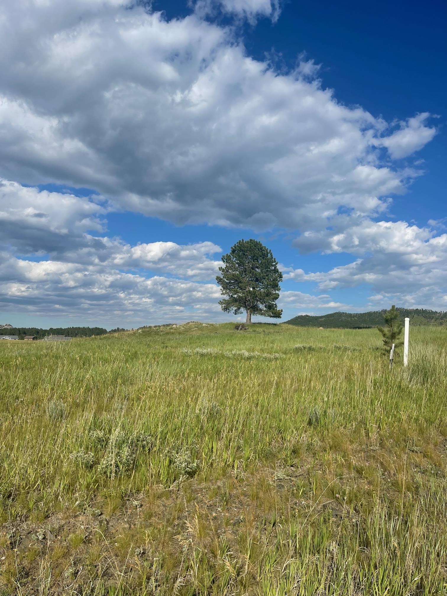 Lot 23, Block 1 Park Avenue Property Photo 3