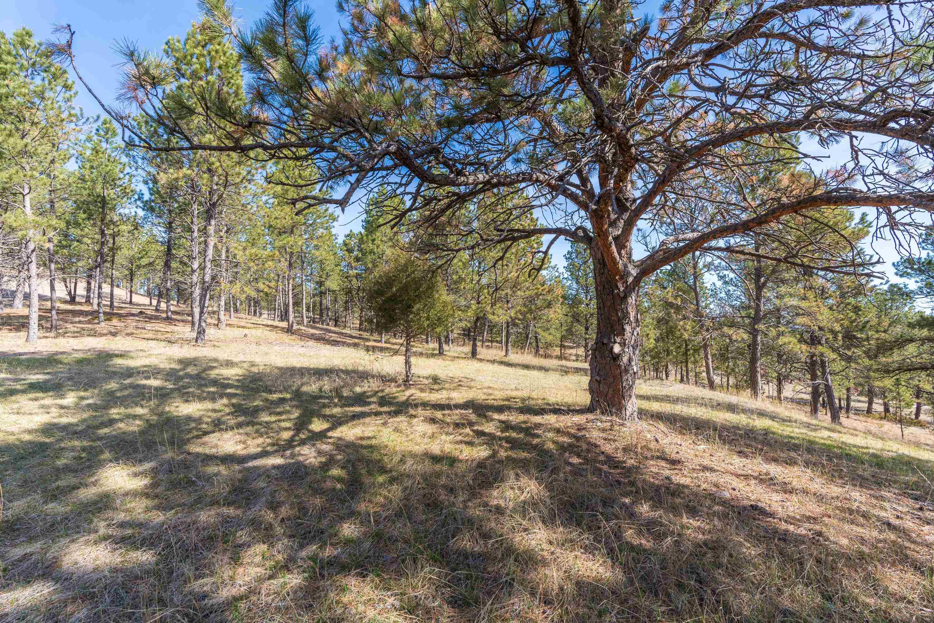Lot 6b Saddle Ridge Road Property Photo 11