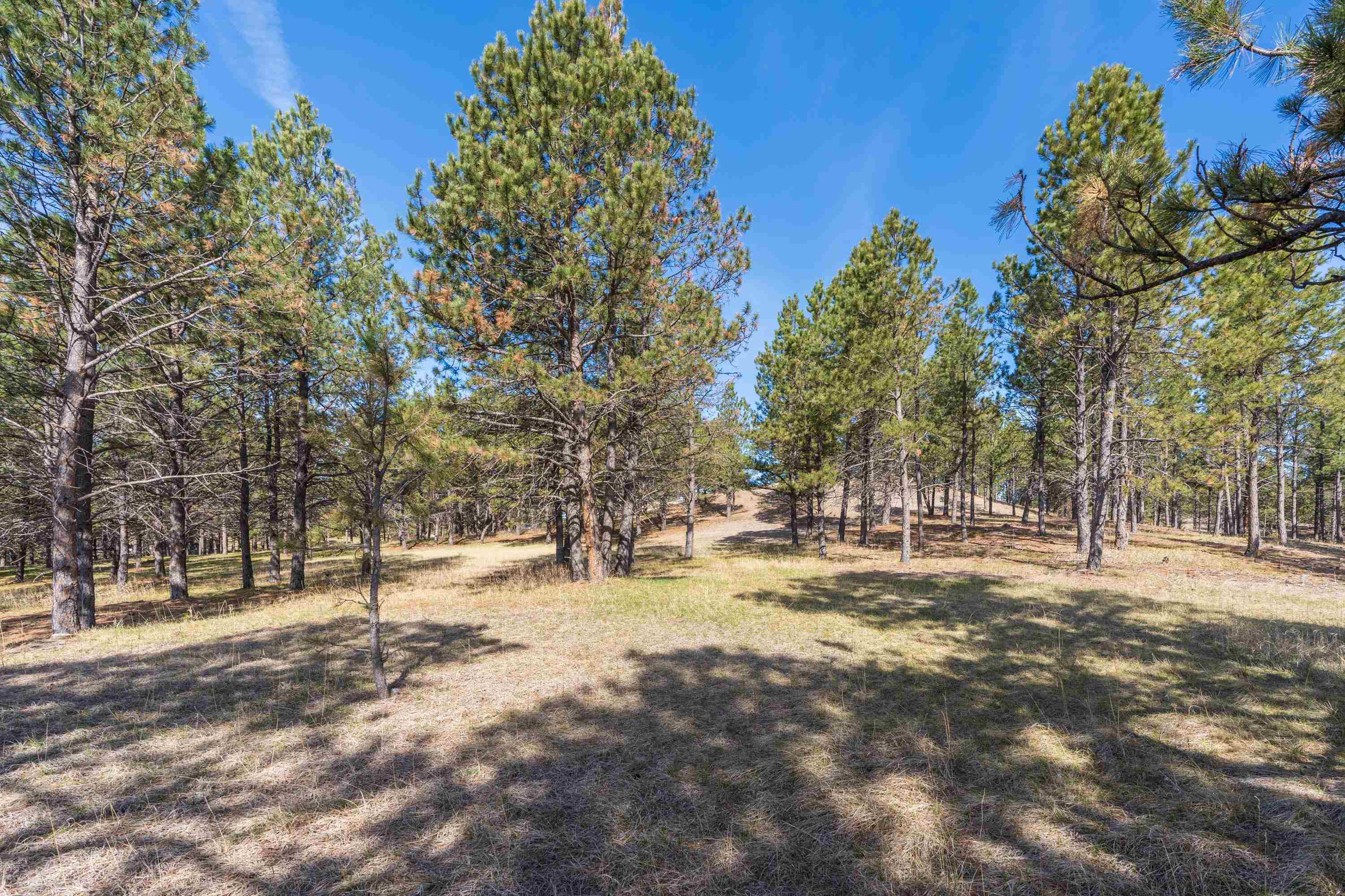 Lot 6b Saddle Ridge Road Property Photo 13