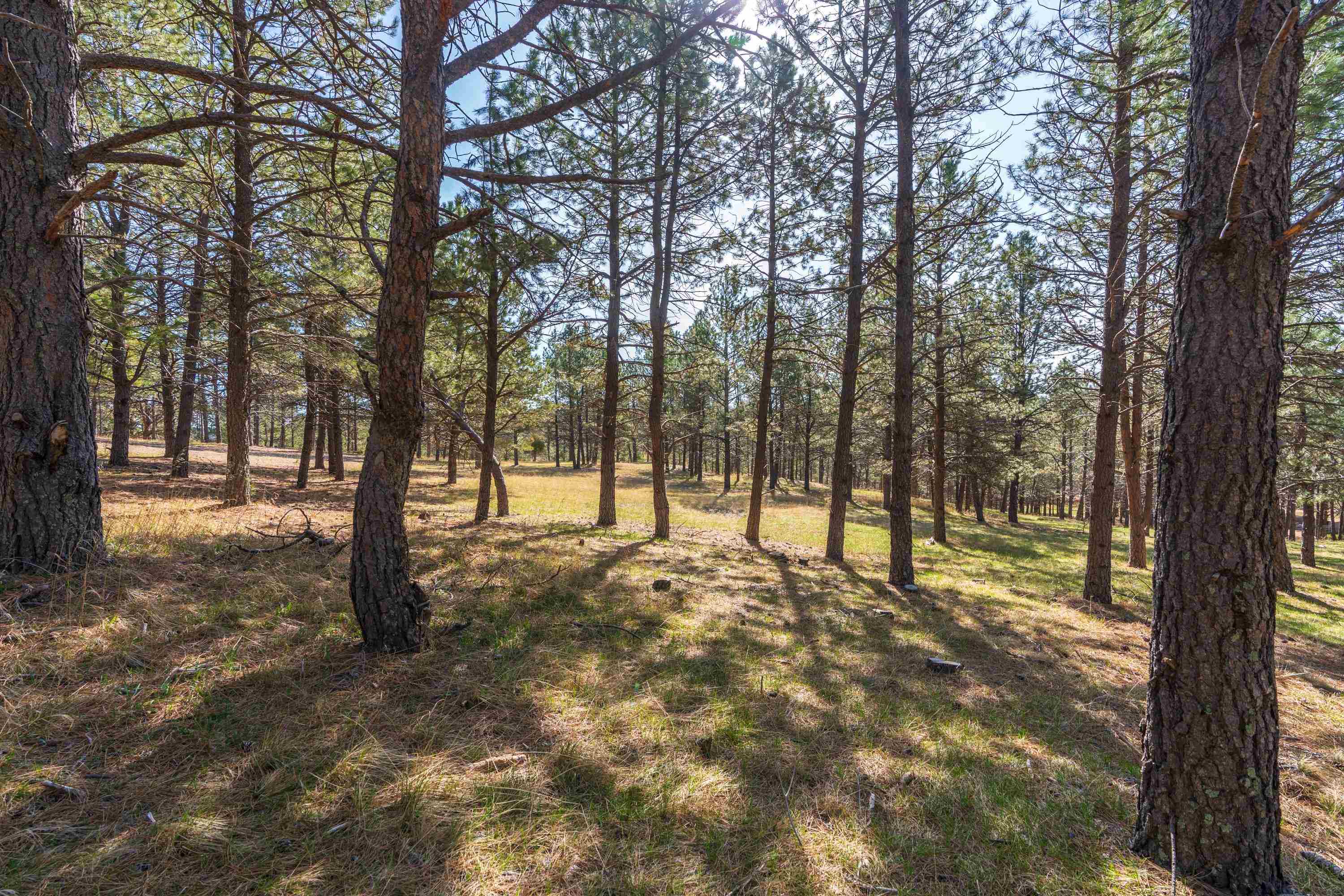 Lot 6b Saddle Ridge Road Property Photo 15