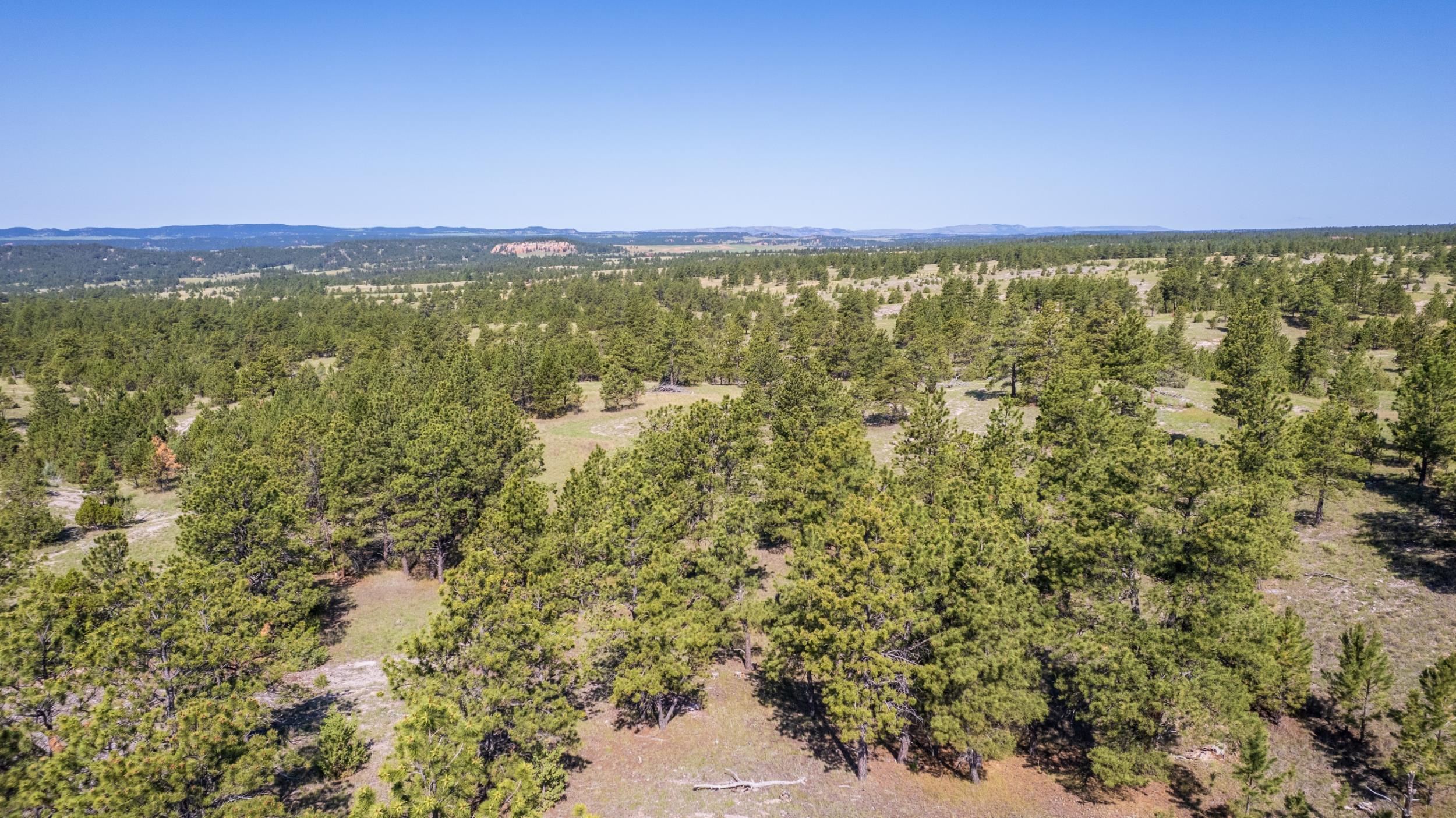 Big Sky 7 Elk Run Road Property Photo 7