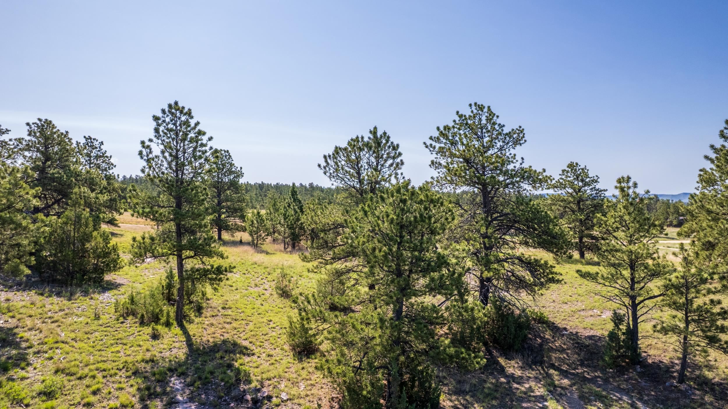 Big Sky 7 Elk Run Road Property Photo 9