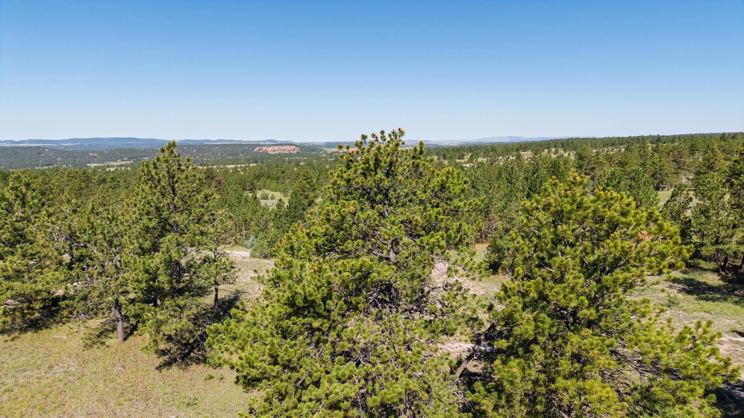 Big Sky 7 Elk Run Road Property Photo 10