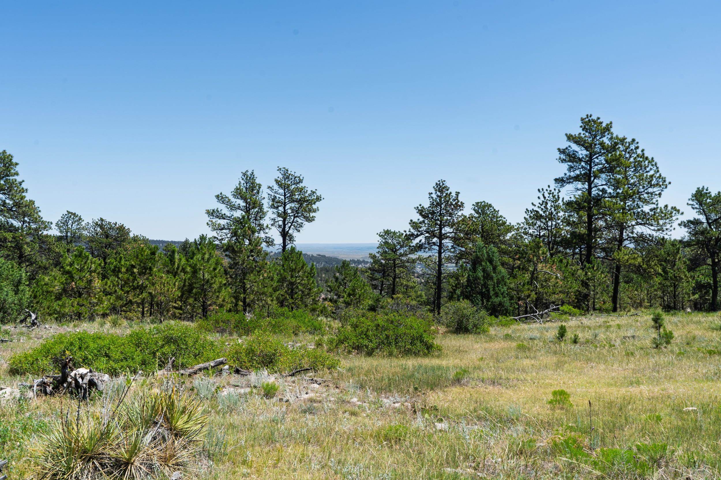 Big Sky 7 Elk Run Road Property Photo 11