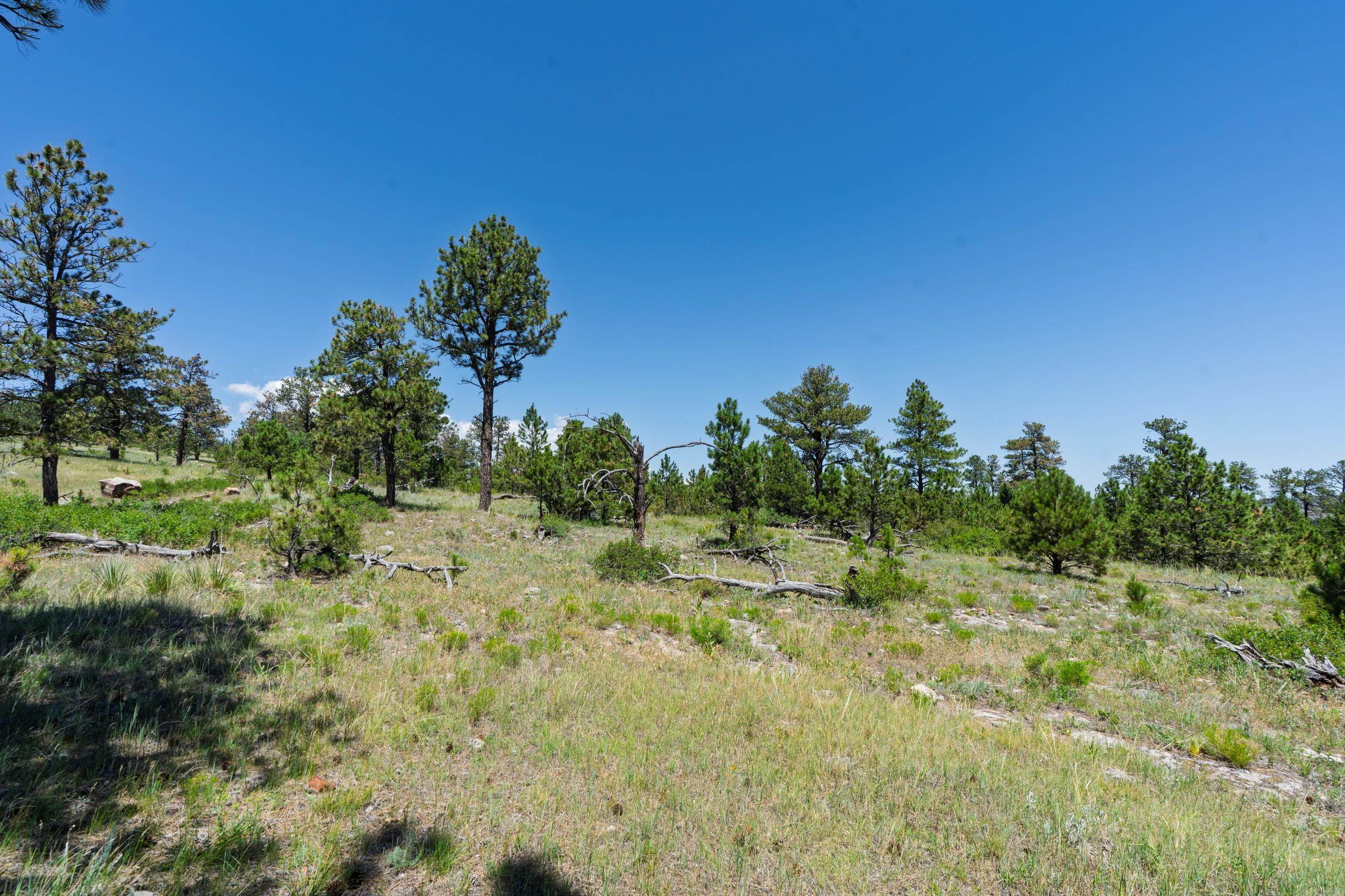 Big Sky 7 Elk Run Road Property Photo 12