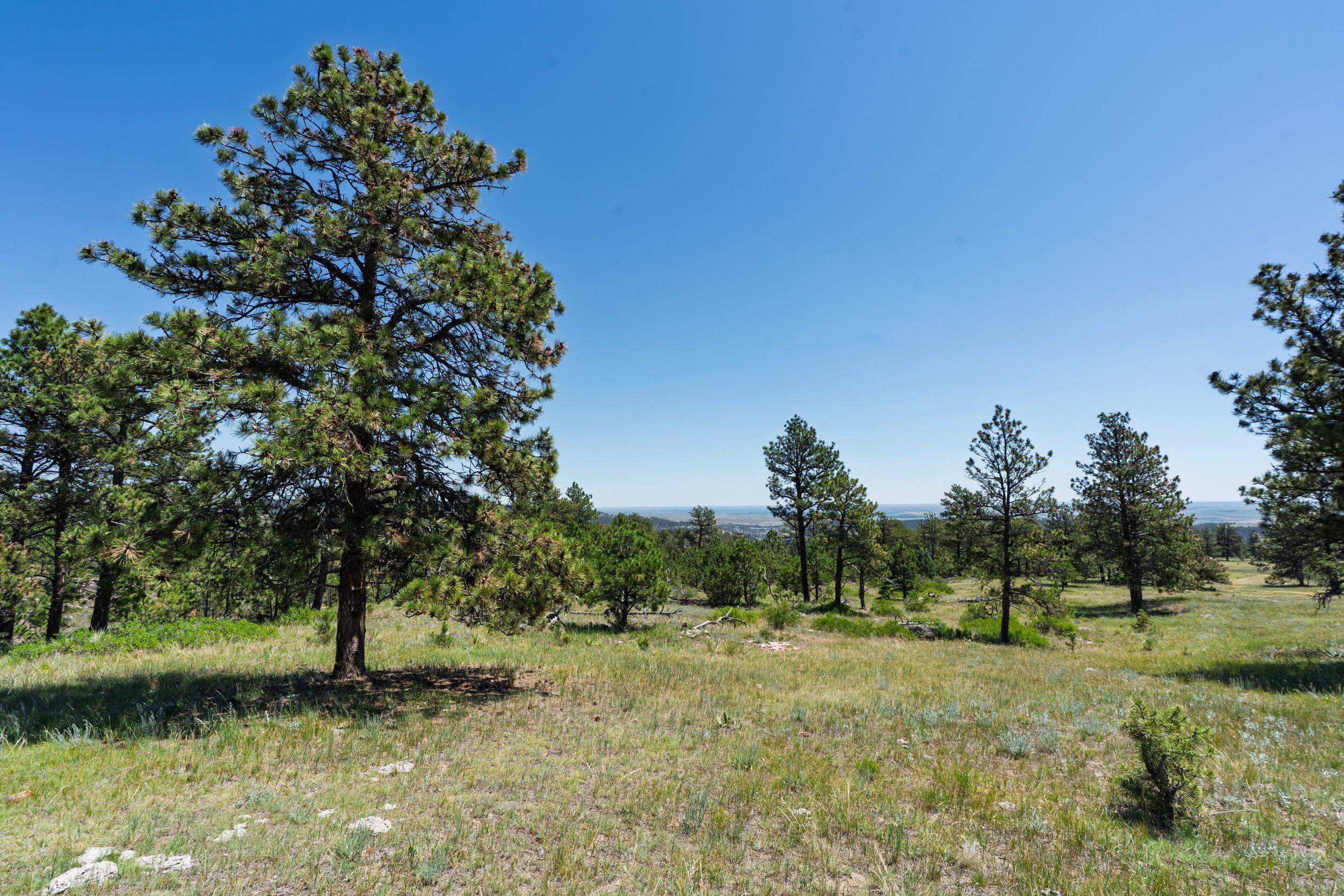 Big Sky 7 Elk Run Road Property Photo 14