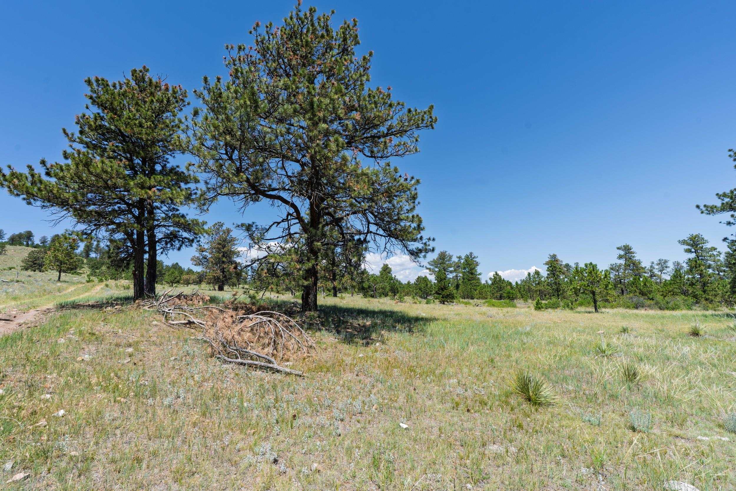 Big Sky 7 Elk Run Road Property Photo 15