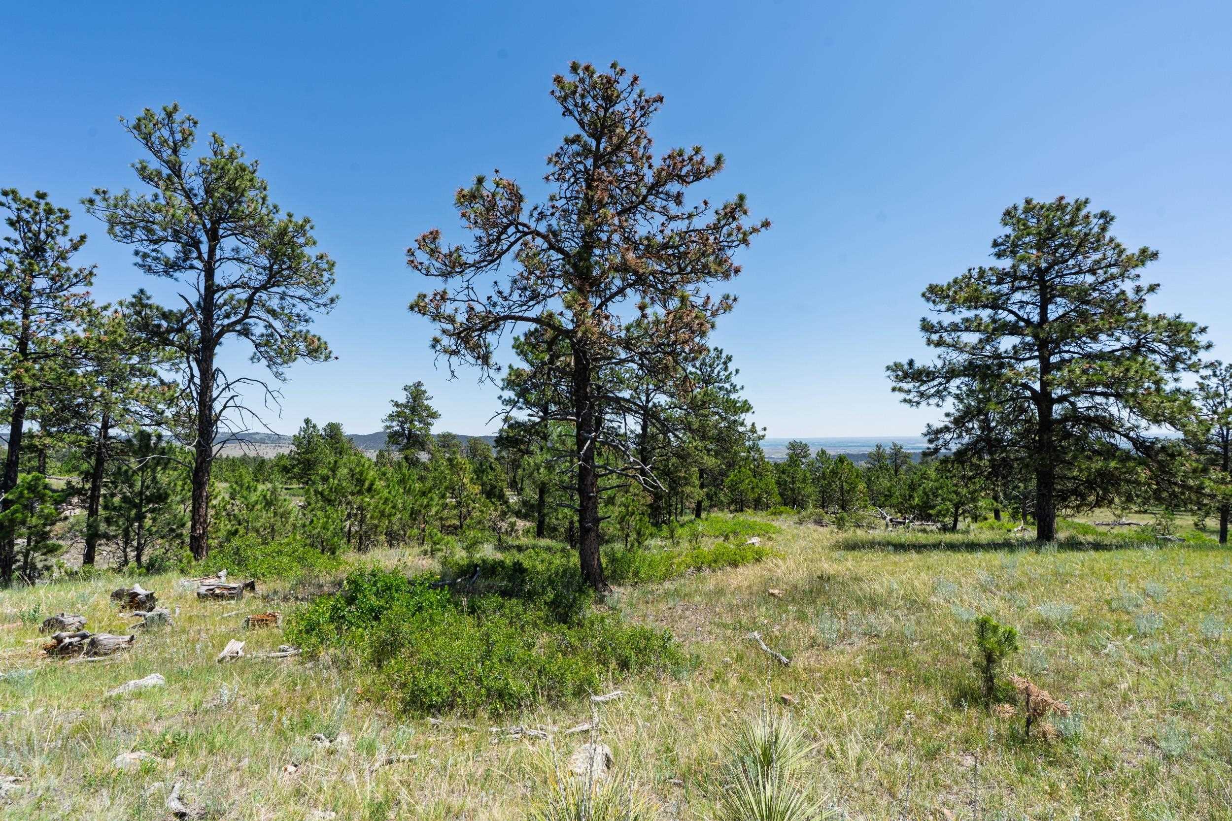 Big Sky 7 Elk Run Road Property Photo 16