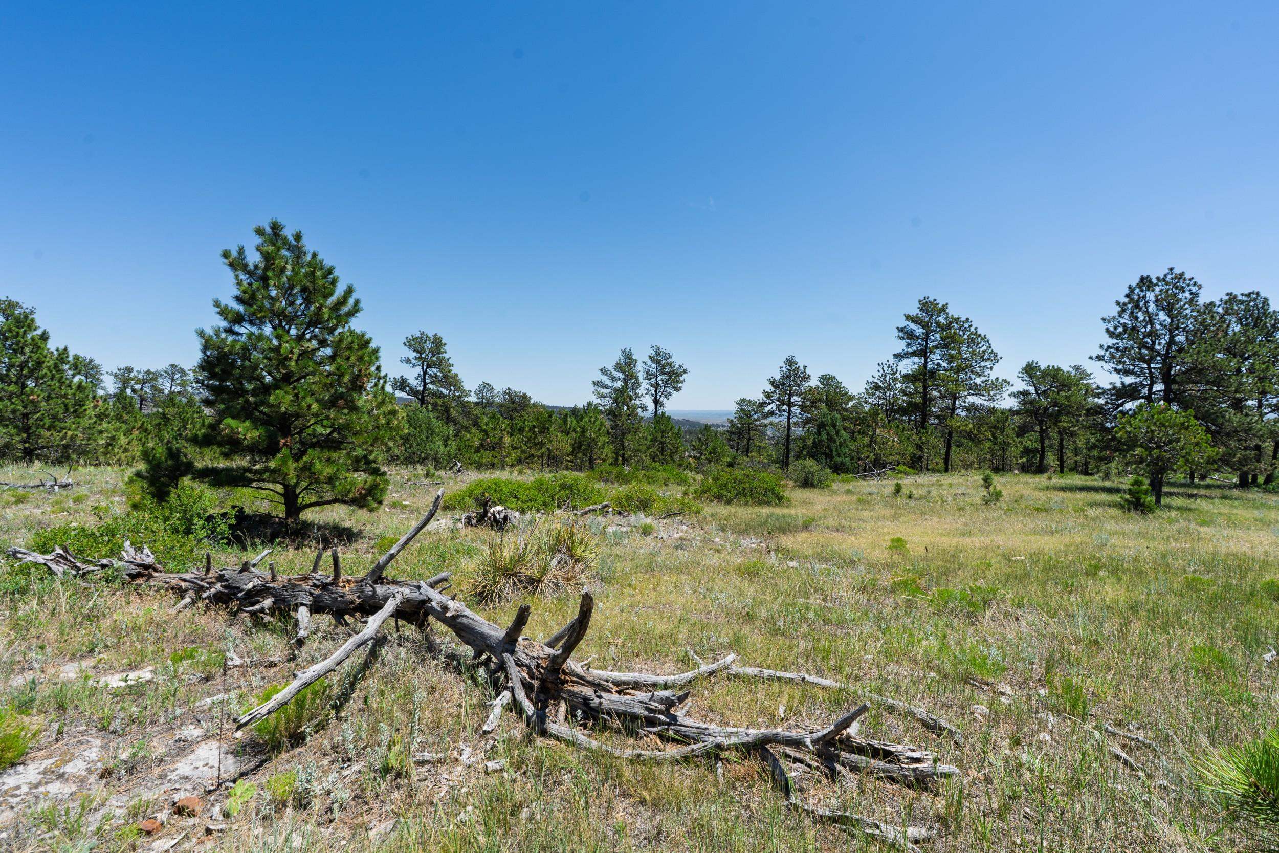 Big Sky 7 Elk Run Road Property Photo 17