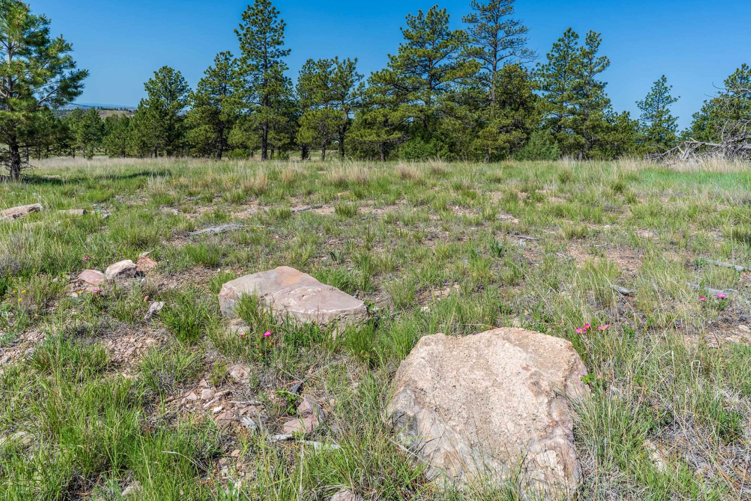 Big Sky 7 Elk Run Road Property Photo 18