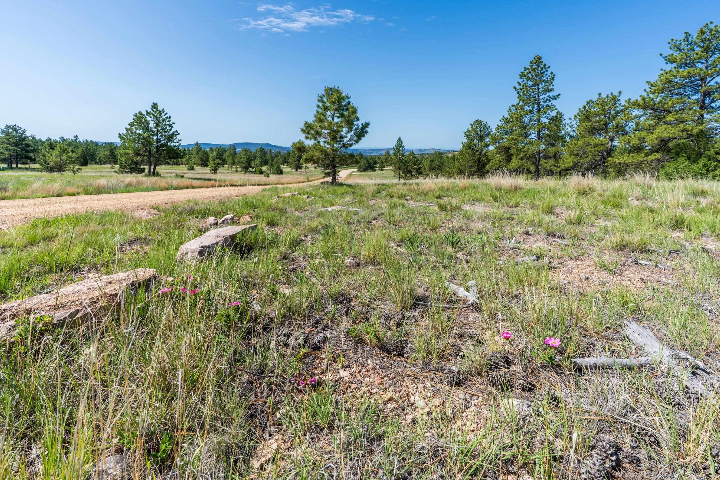Big Sky 7 Elk Run Road Property Photo 19
