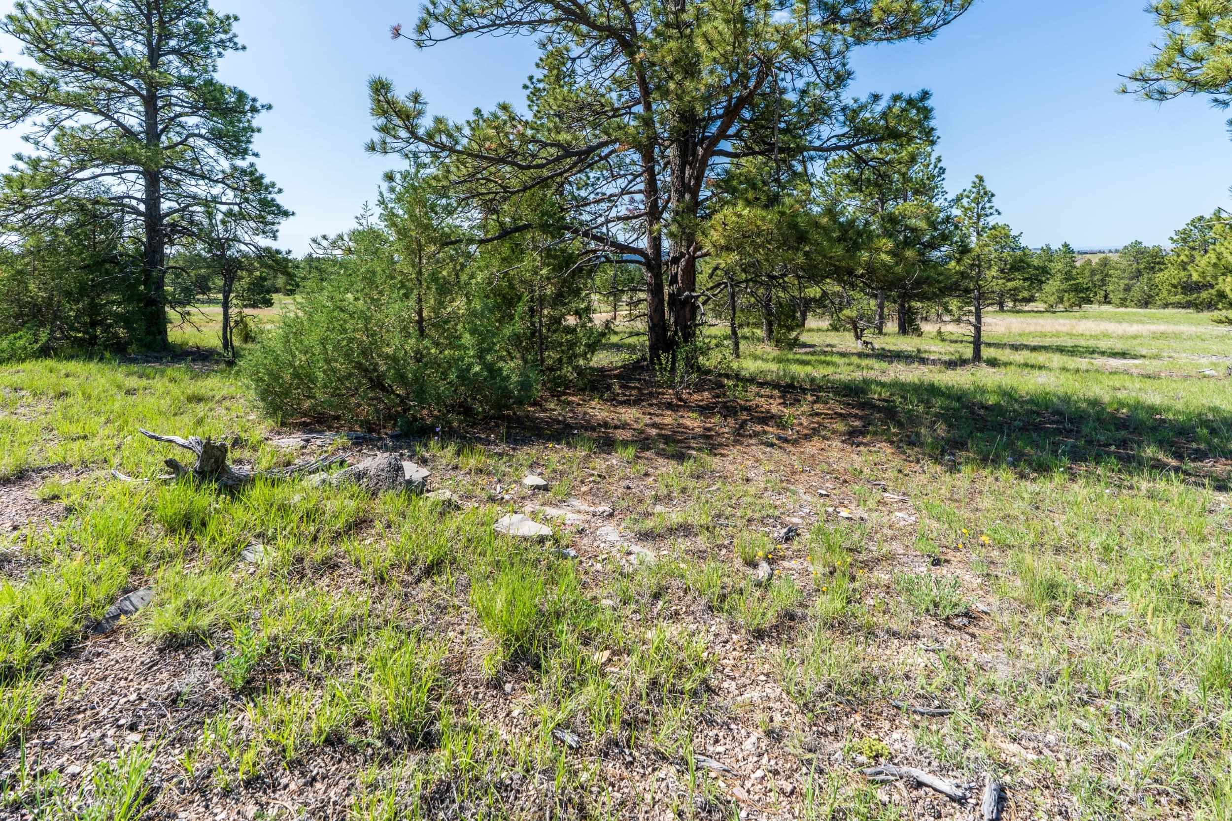 Big Sky 7 Elk Run Road Property Photo 21