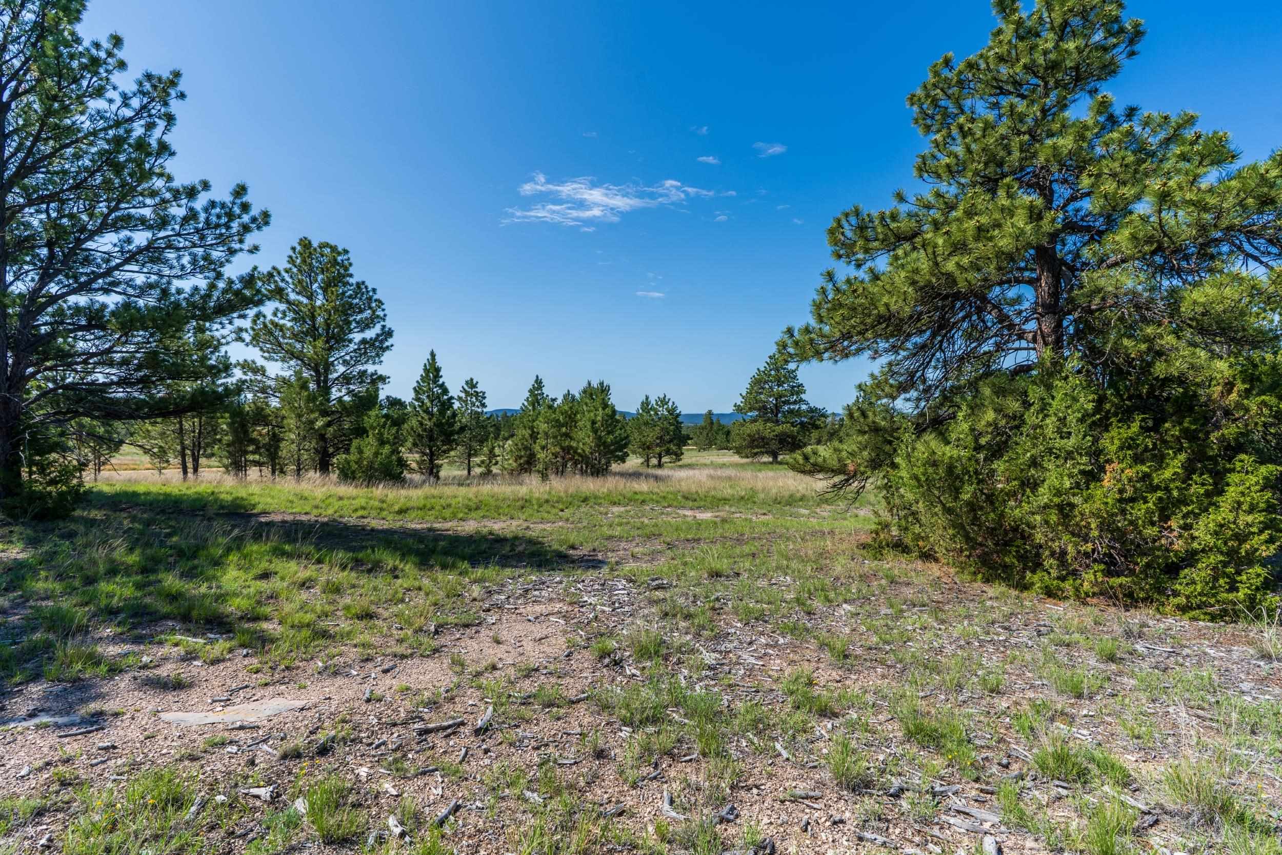 Big Sky 7 Elk Run Road Property Photo 22