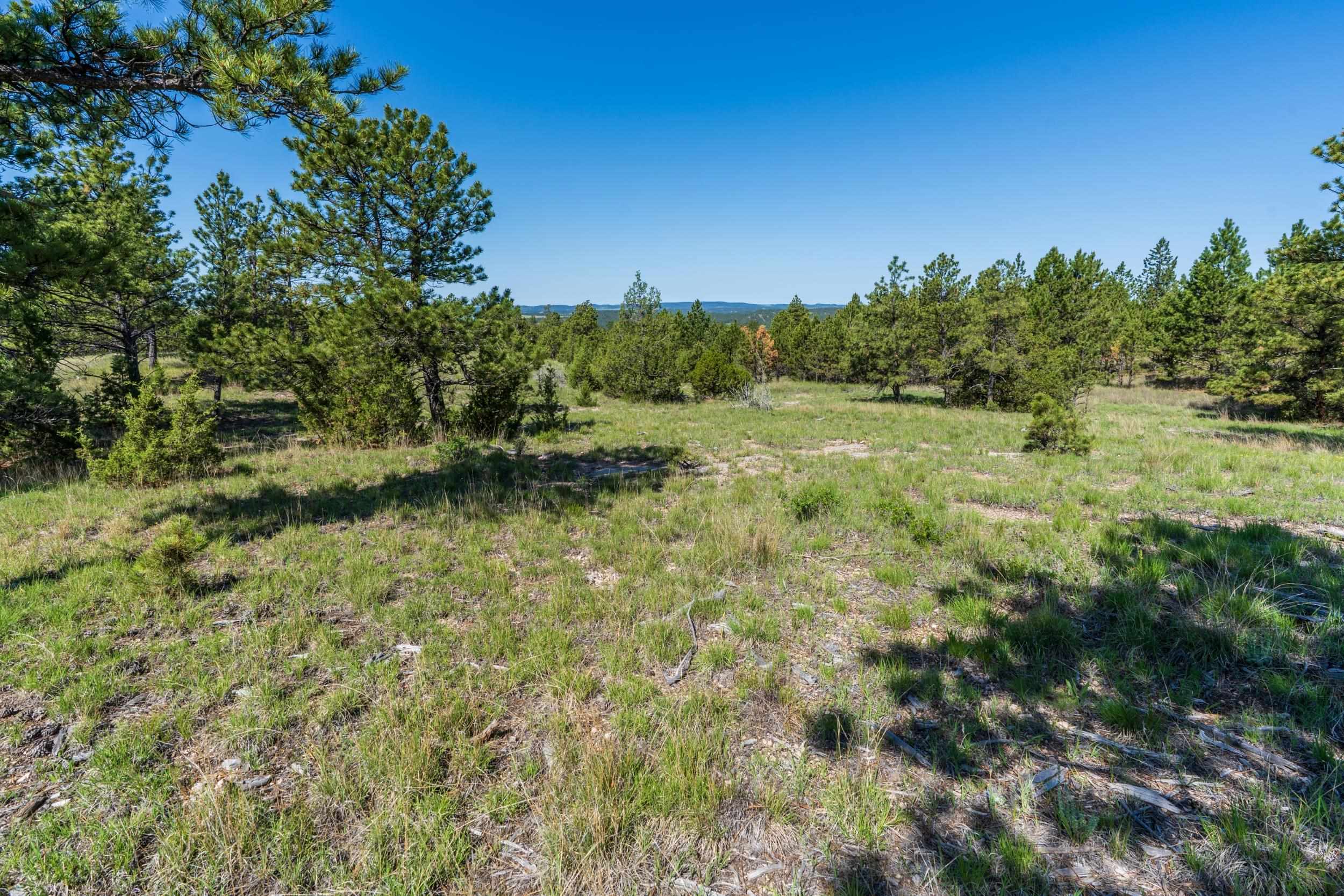 Big Sky 7 Elk Run Road Property Photo 23
