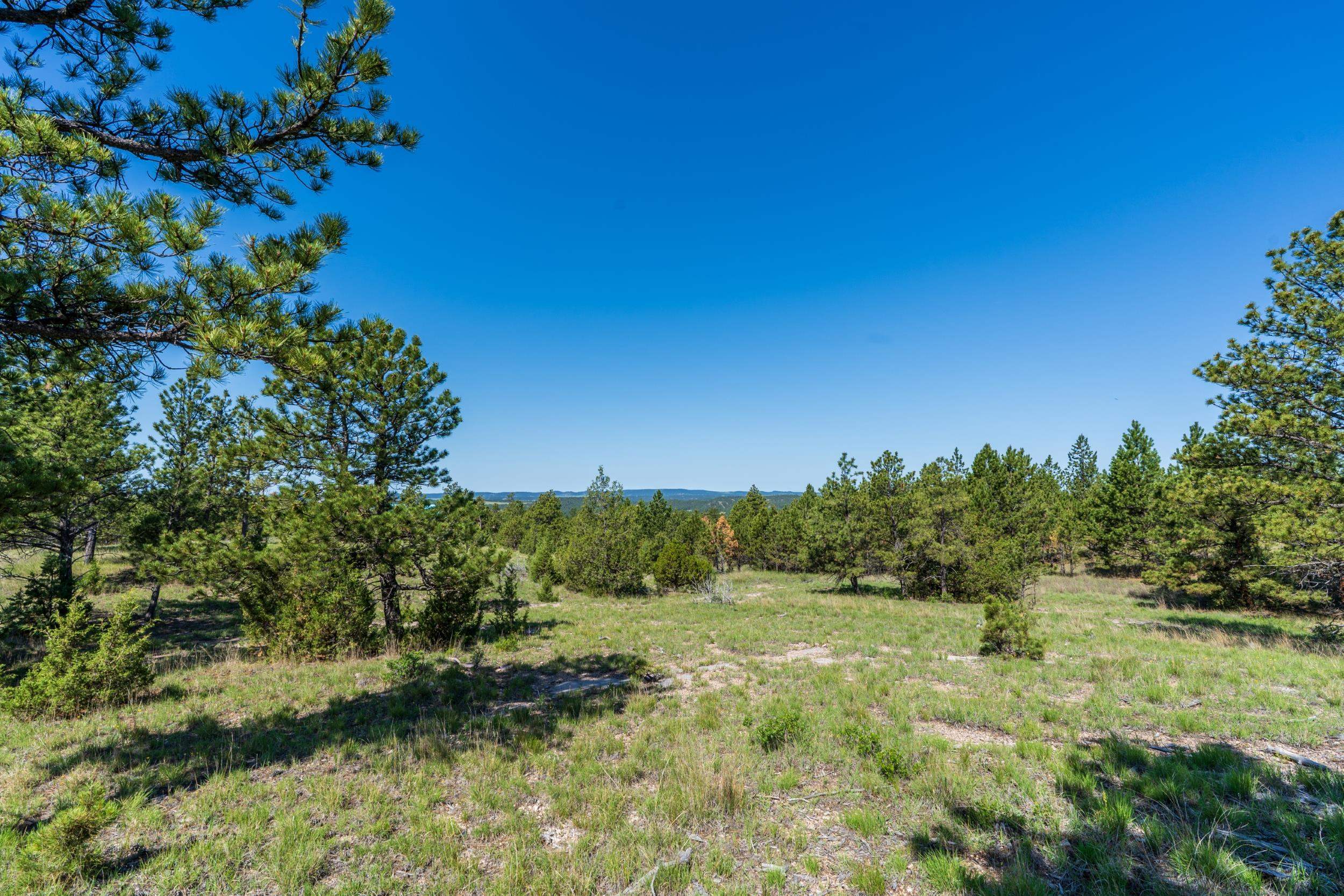 Big Sky 7 Elk Run Road Property Photo 24