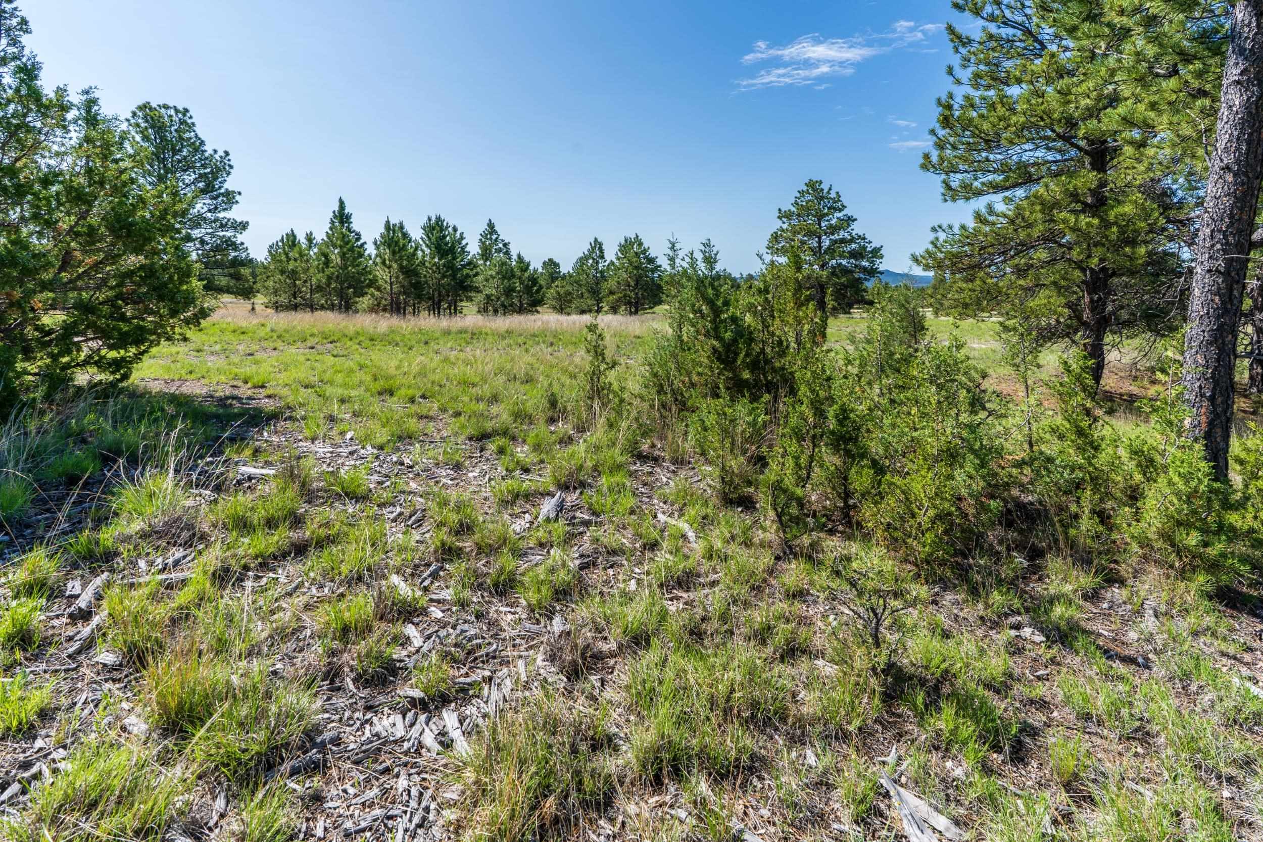Big Sky 7 Elk Run Road Property Photo 25