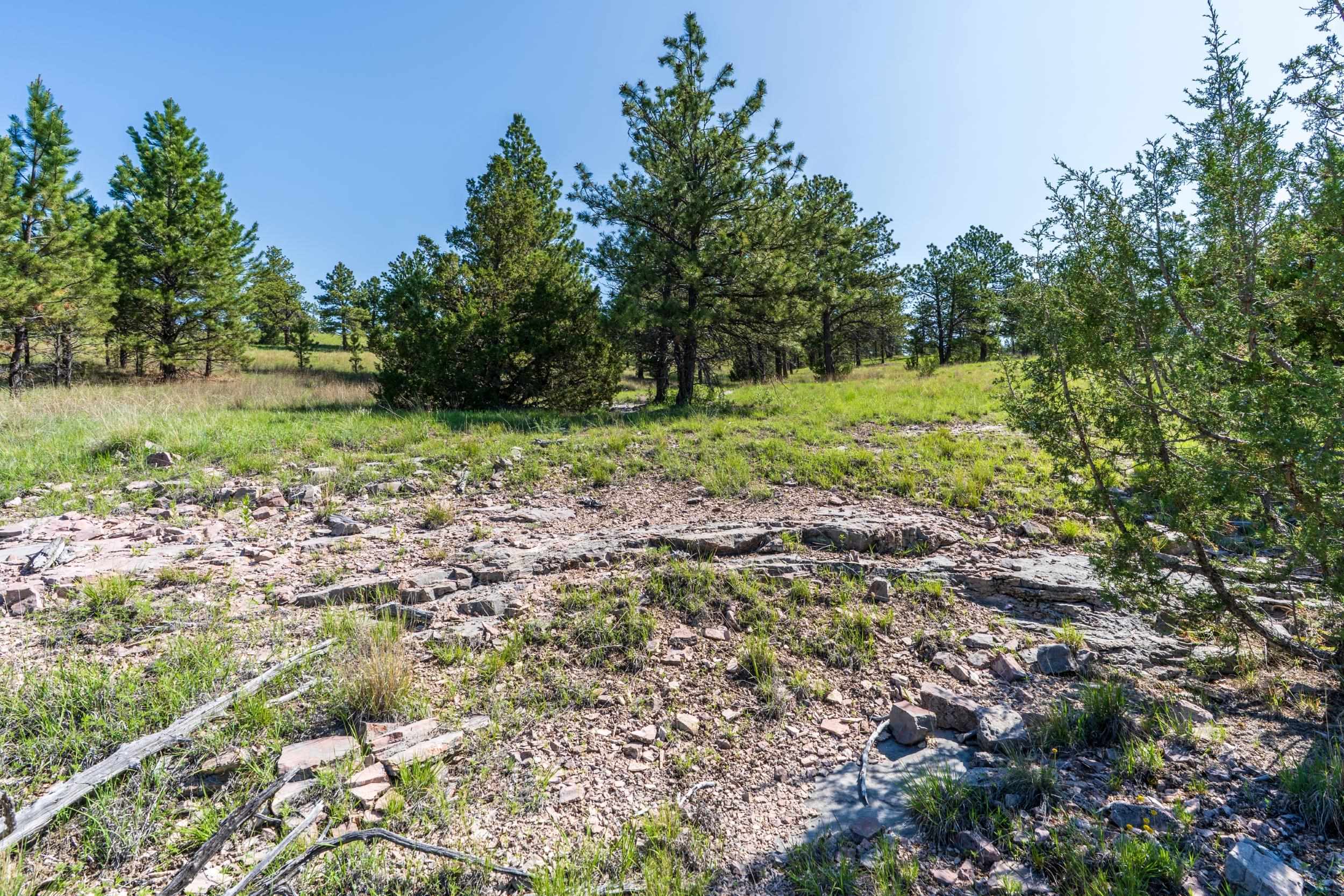 Big Sky 7 Elk Run Road Property Photo 28