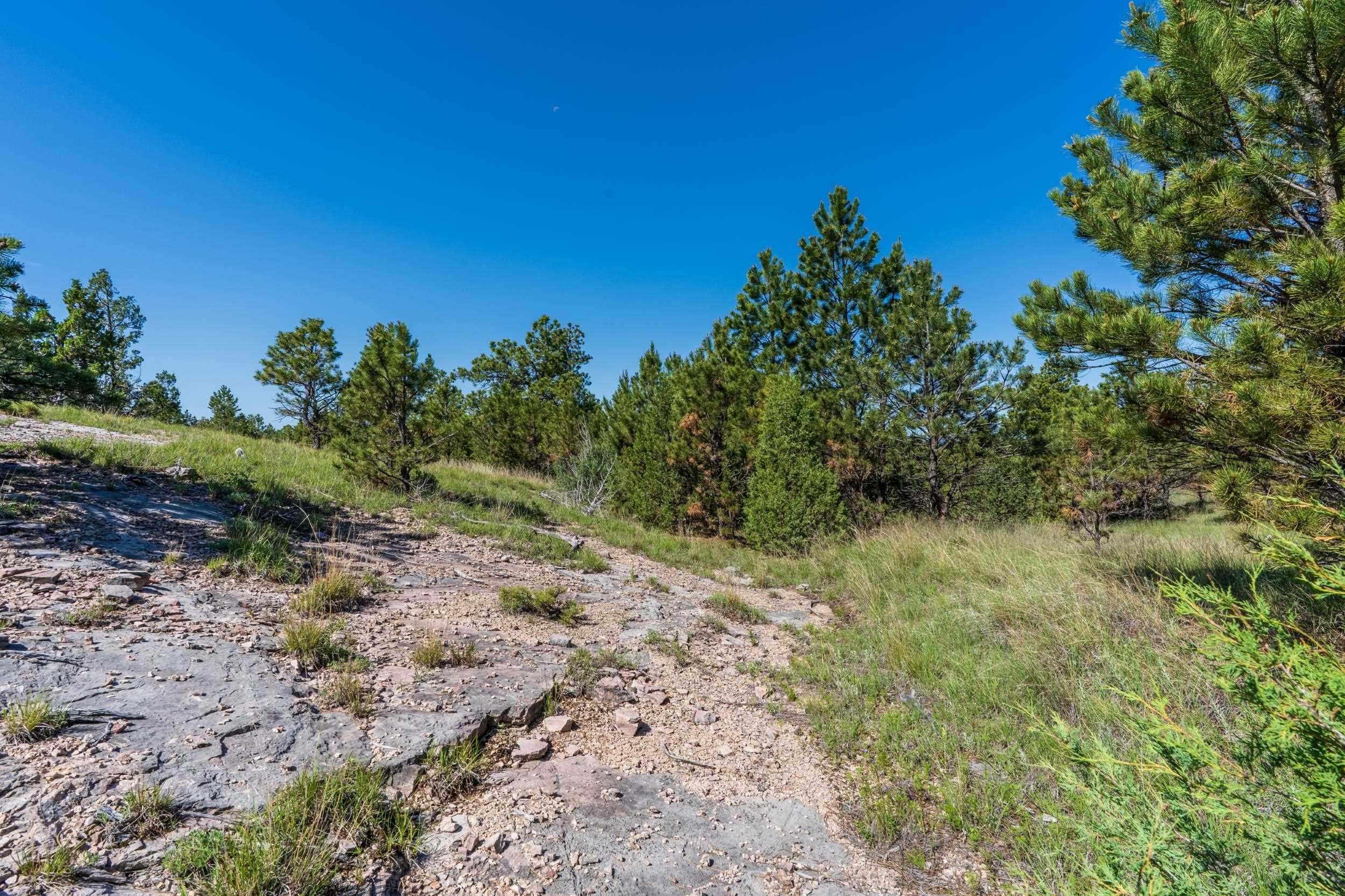 Big Sky 7 Elk Run Road Property Photo 29