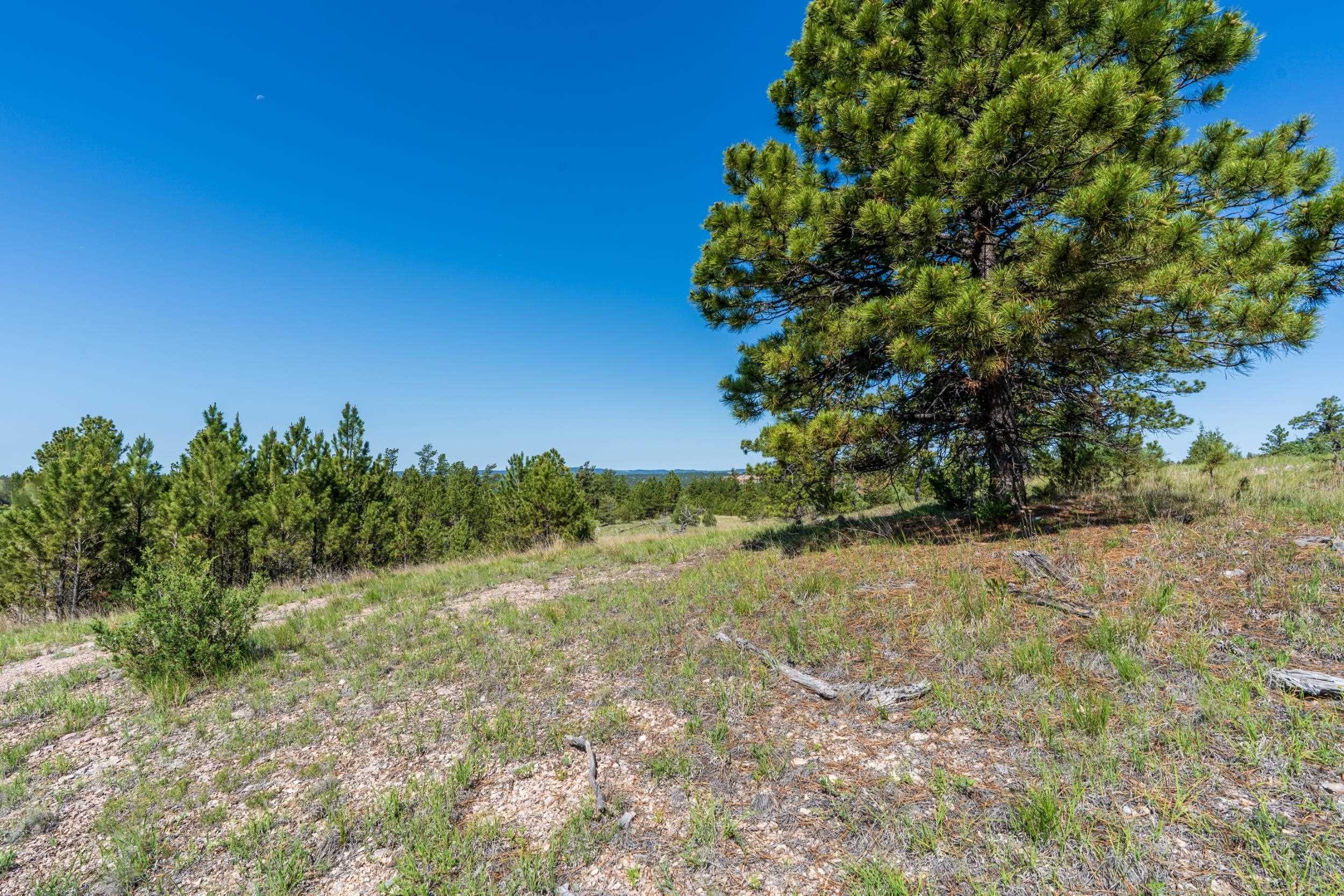 Big Sky 7 Elk Run Road Property Photo 30