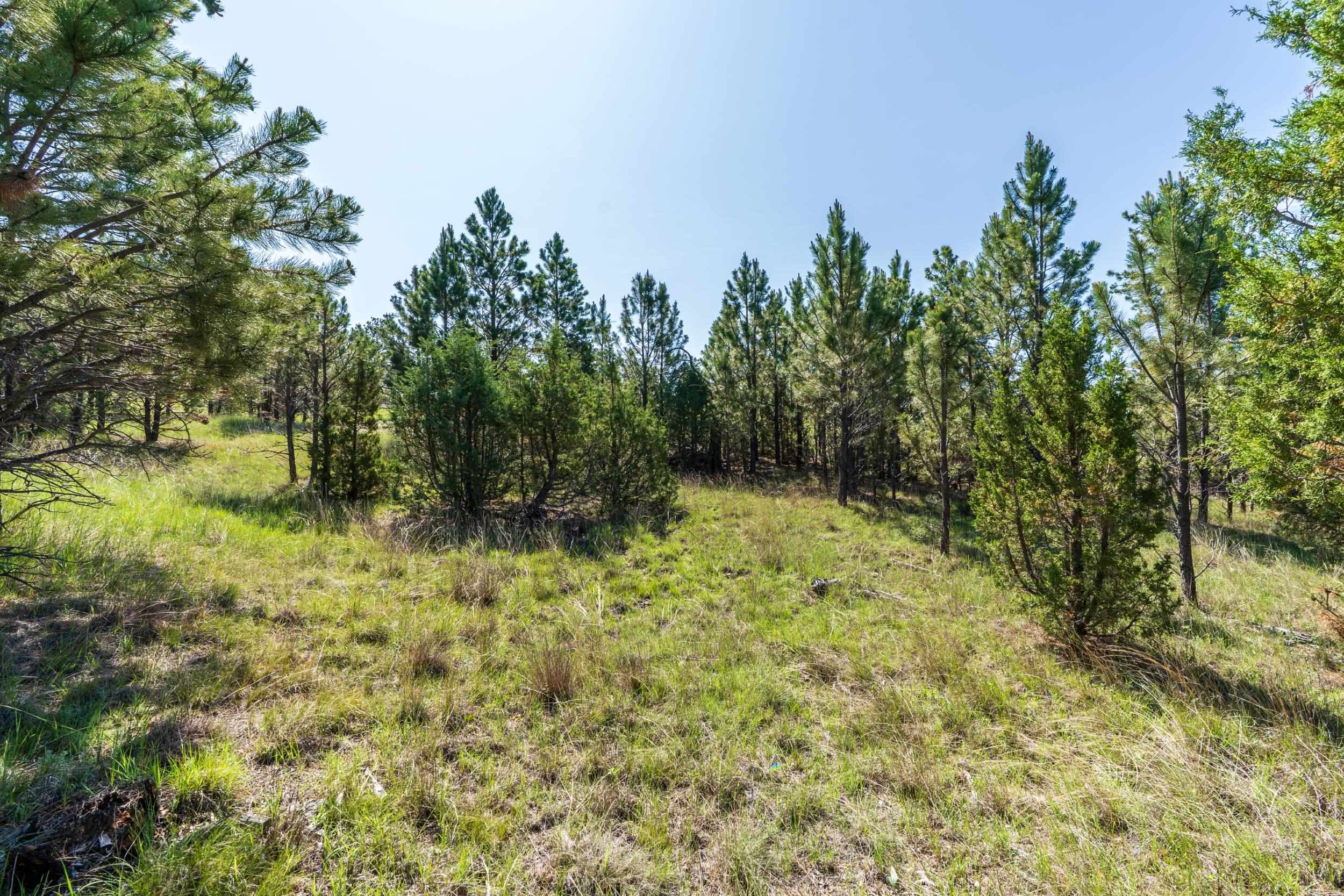 Big Sky 7 Elk Run Road Property Photo 31