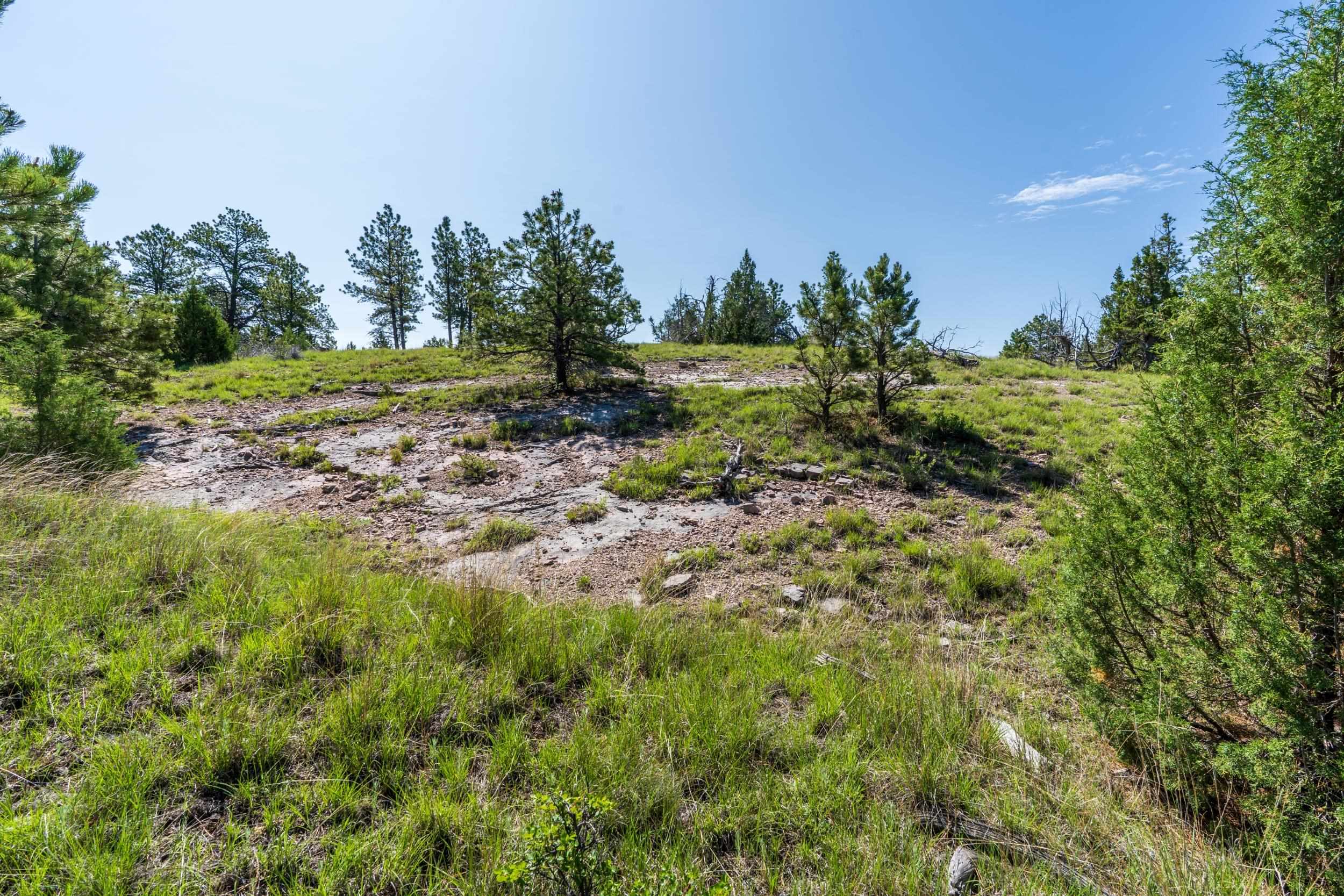 Big Sky 7 Elk Run Road Property Photo 32