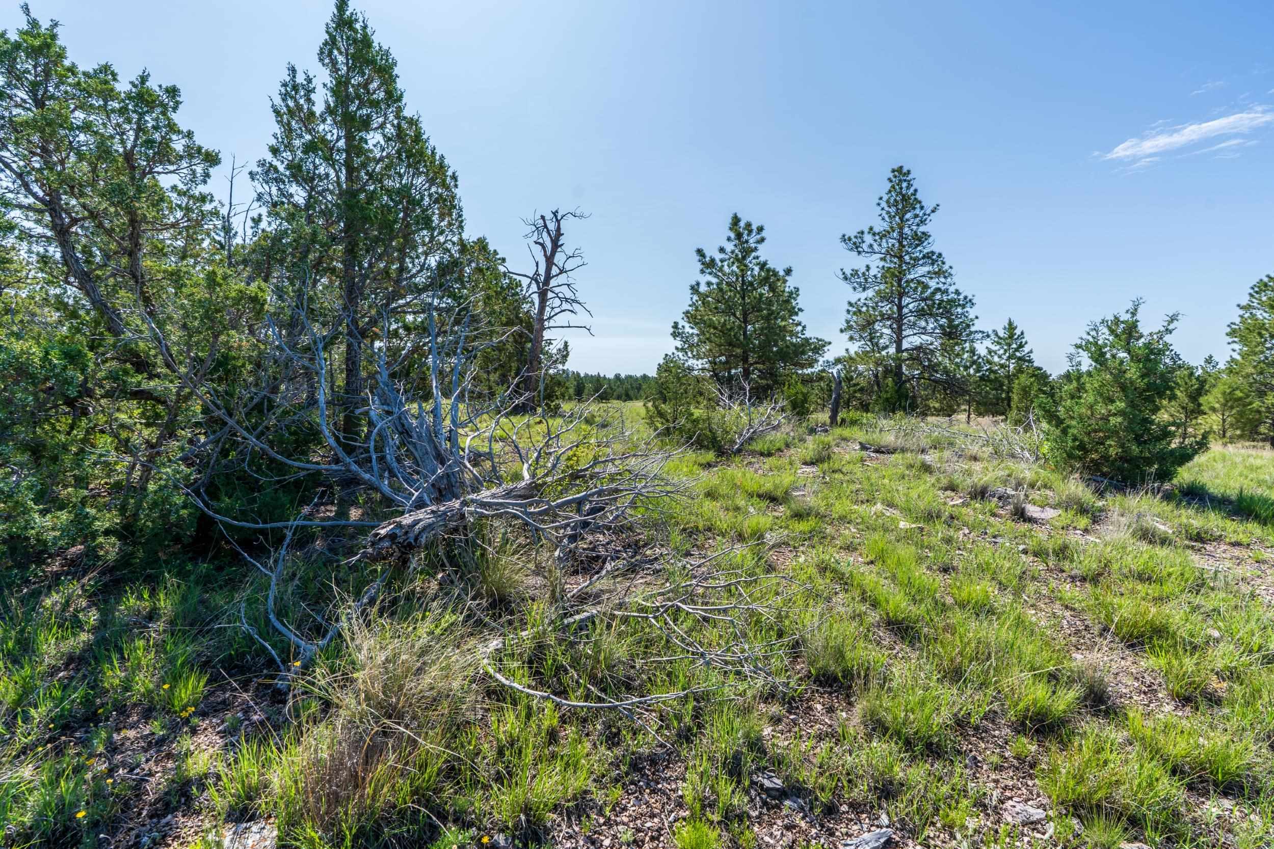 Big Sky 7 Elk Run Road Property Photo 33