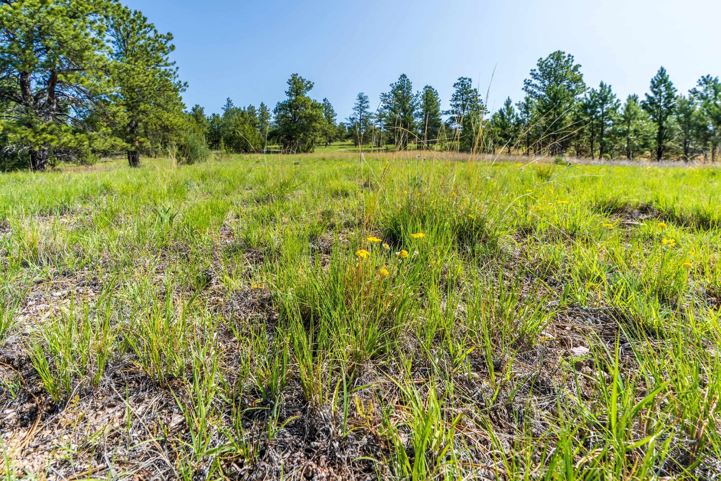 Big Sky 7 Elk Run Road Property Photo 35